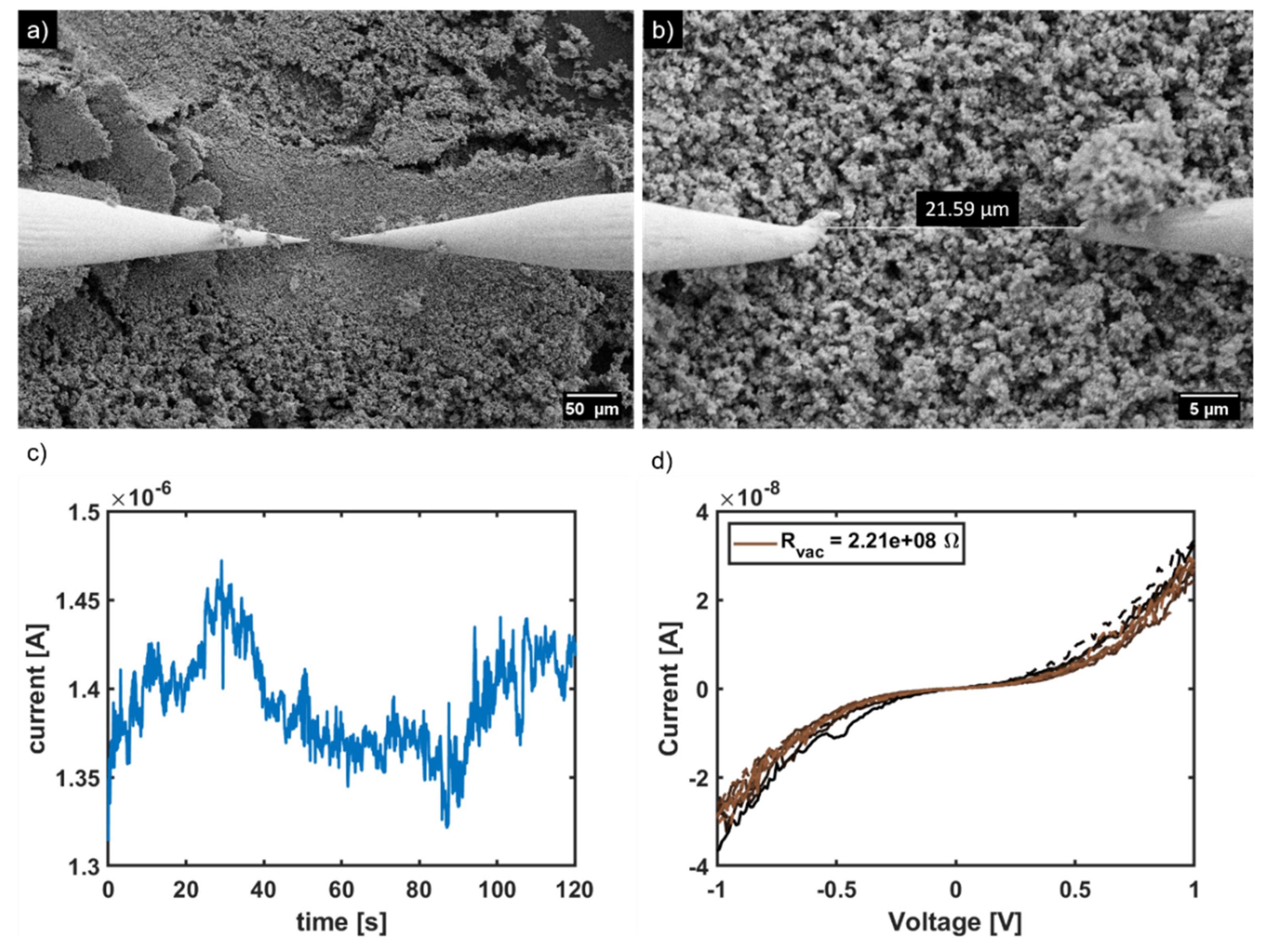 Ijms 23 07256 g004 550