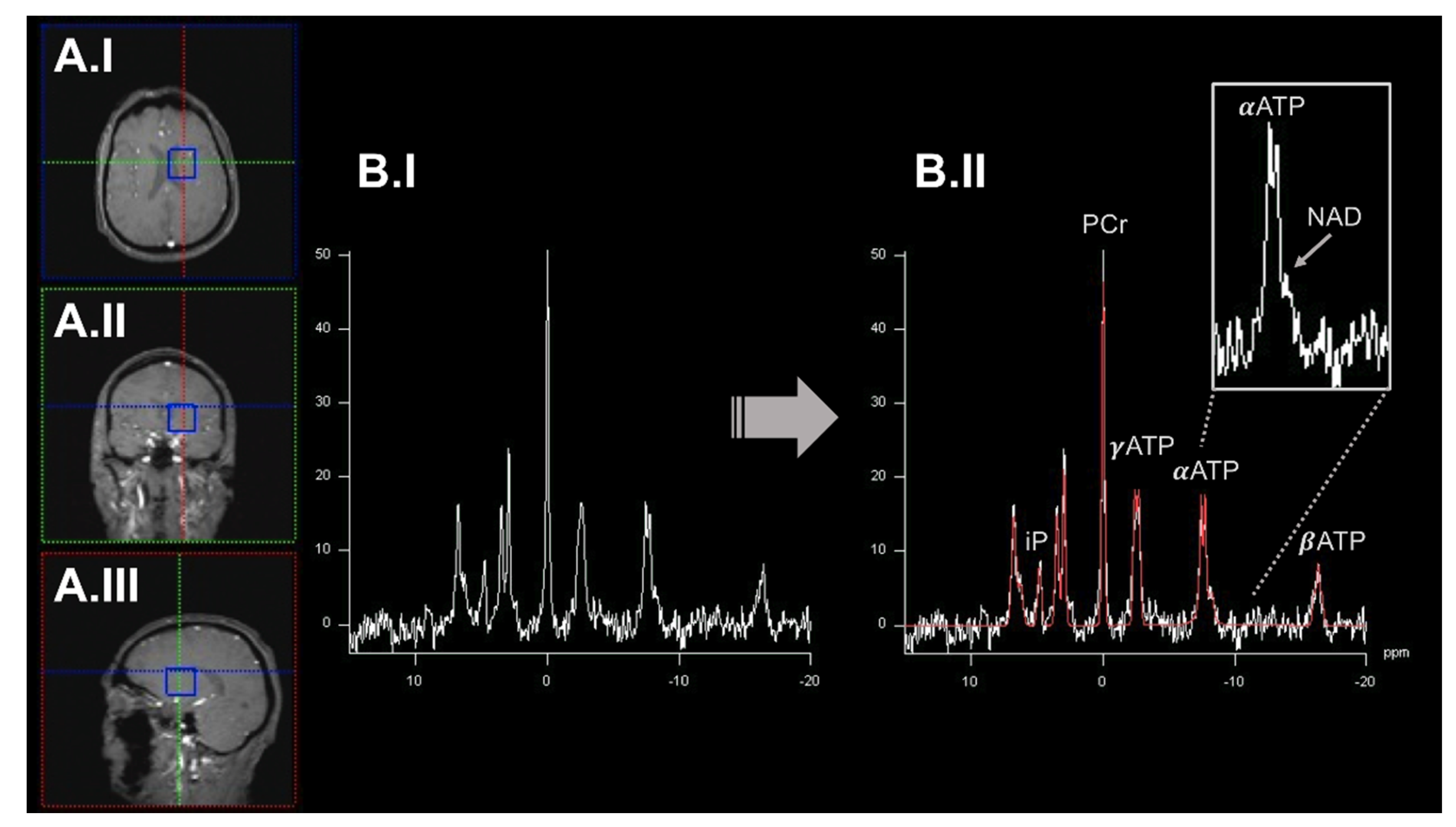 Ijms 23 07263 g003 Ijms 23 07263 g003