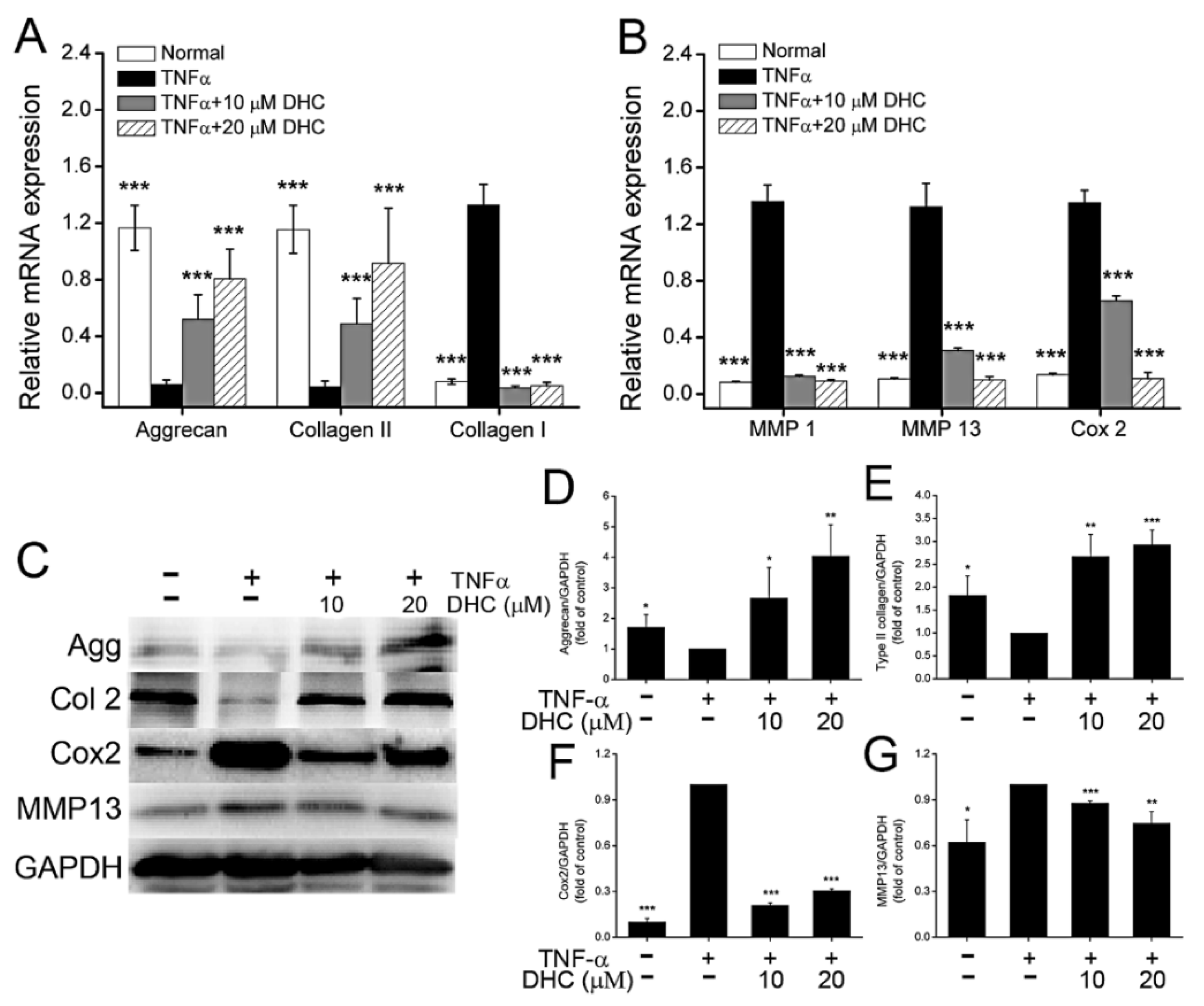 Ijms 23 07268 g002 550
