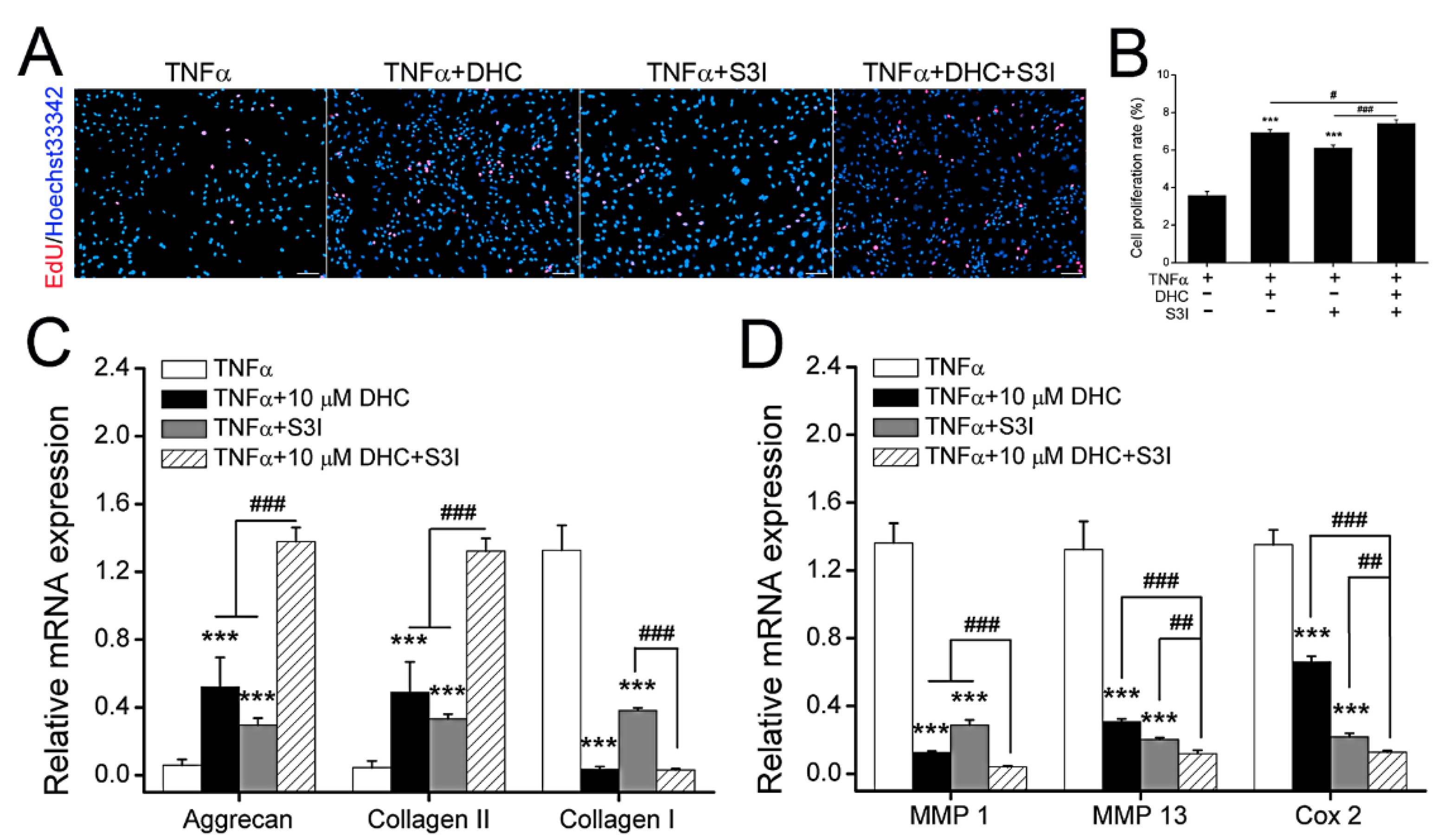 Ijms 23 07268 g005 550