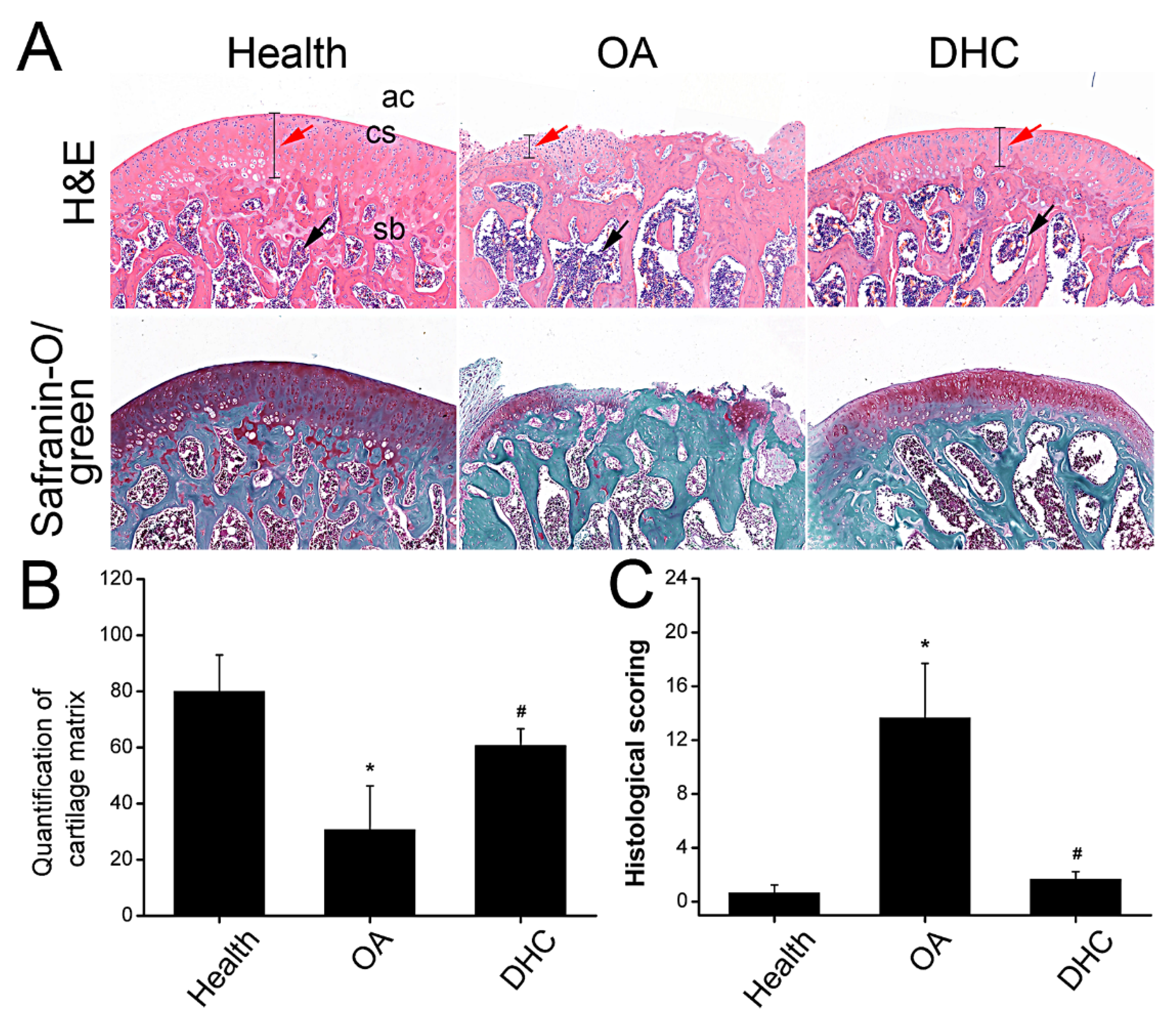 Ijms 23 07268 g006 550