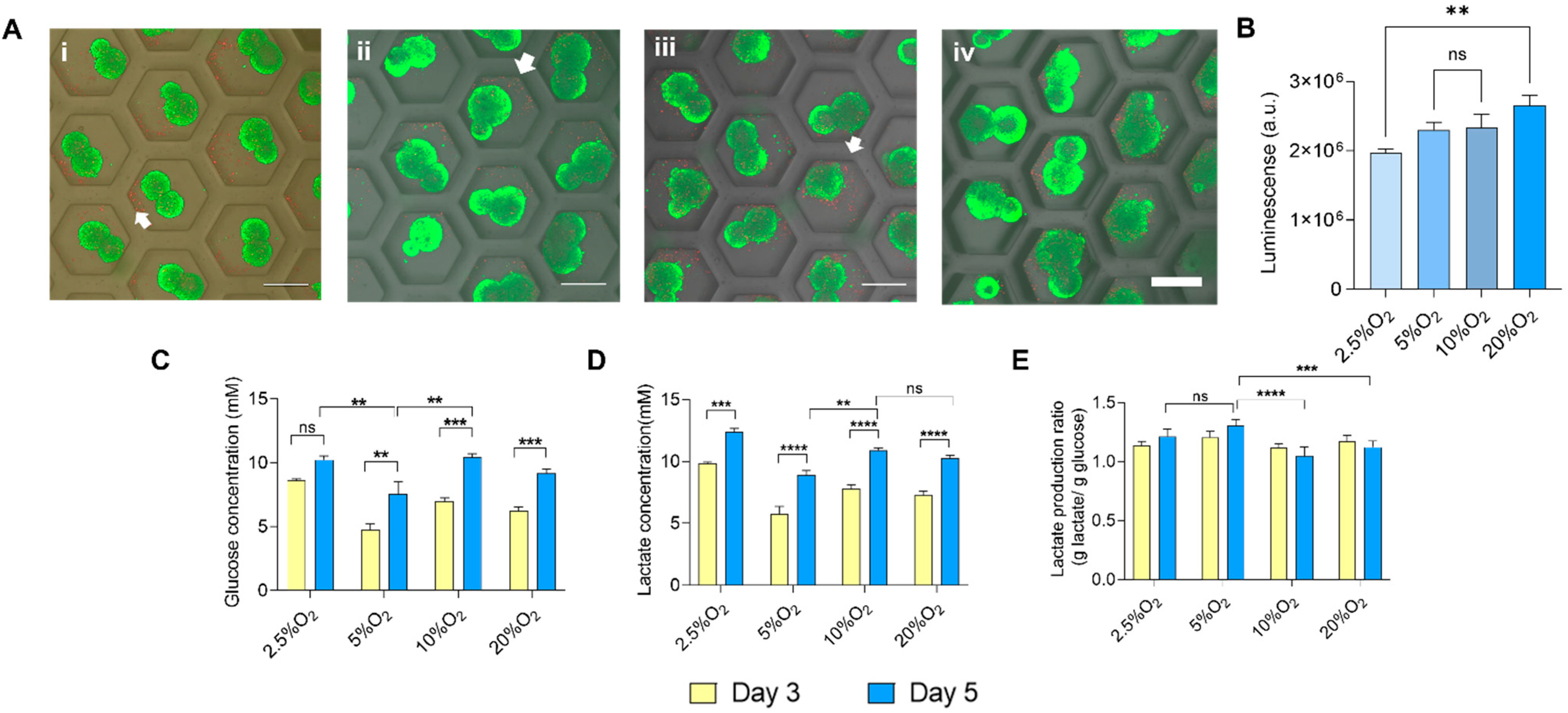 Ijms 23 07272 g003 Ijms 23 07272 g003