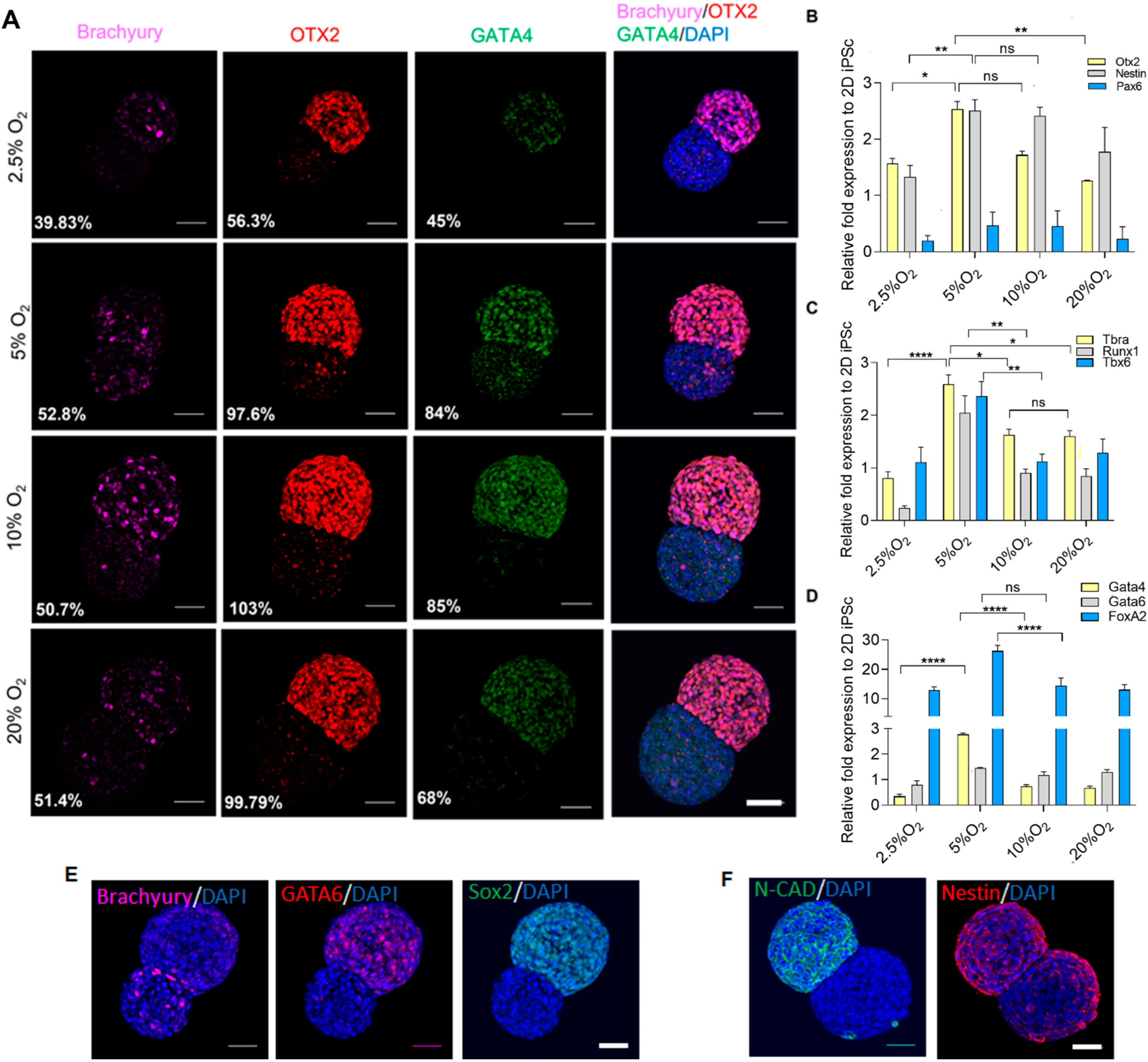 Ijms 23 07272 g005 Ijms 23 07272 g005