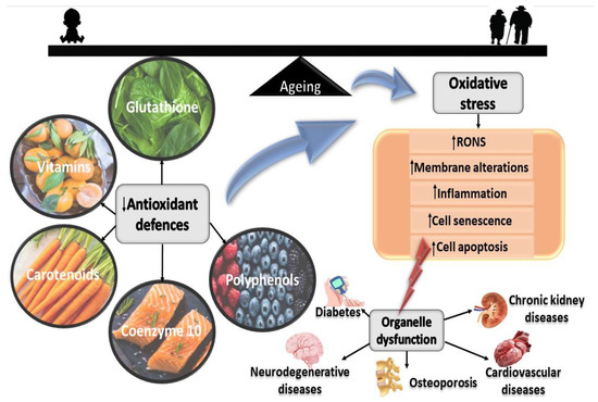 is glutathione good for ckd Chronic Kidney Disease: Stages, Treatments & Nutrition Hacks main image 1