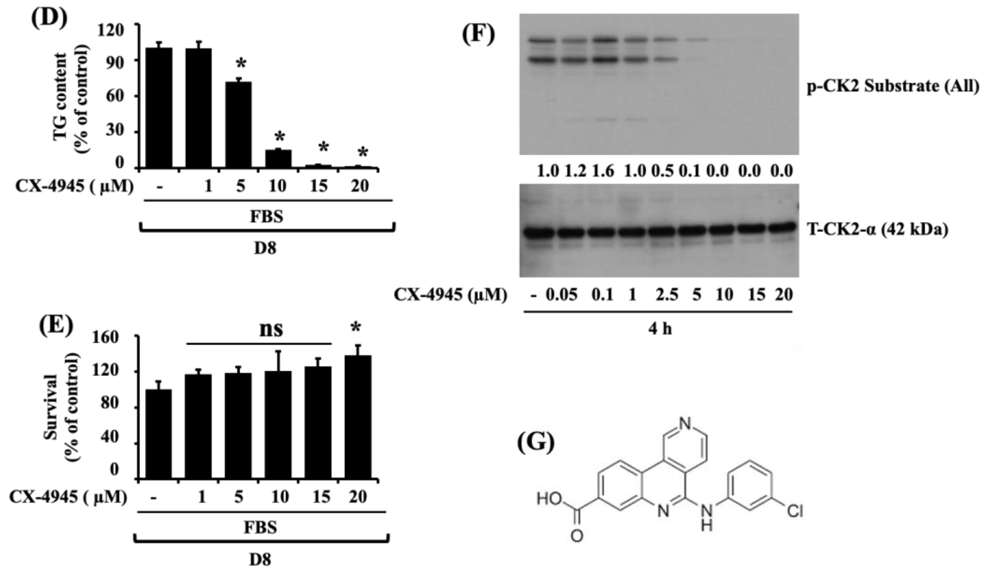 Ijms 23 07274 g001b Ijms 23 07274 g001b