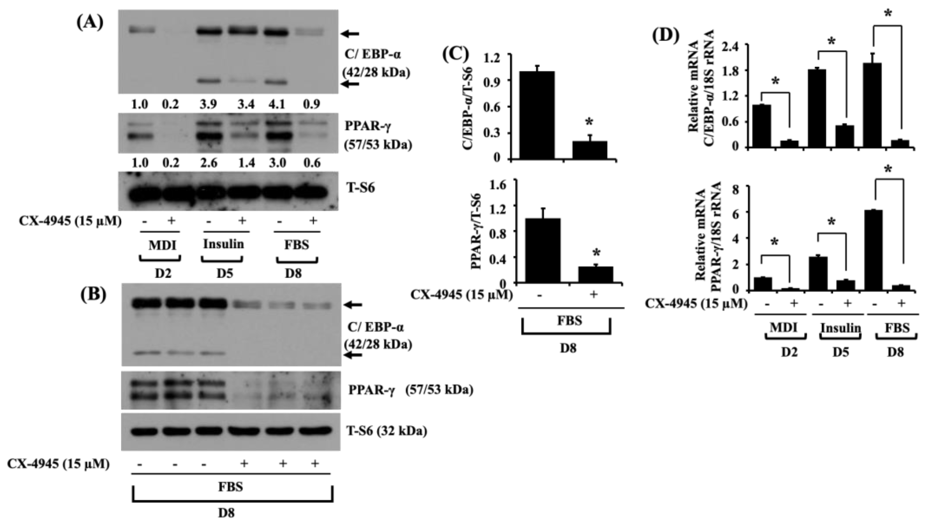 Ijms 23 07274 g002 Ijms 23 07274 g002