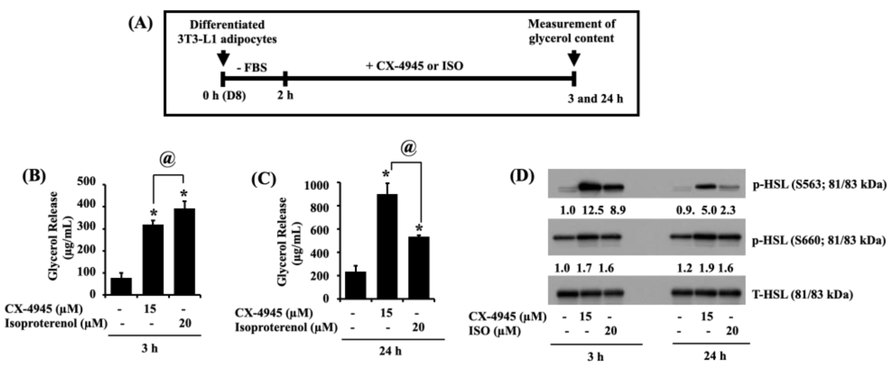 Ijms 23 07274 g006 Ijms 23 07274 g006