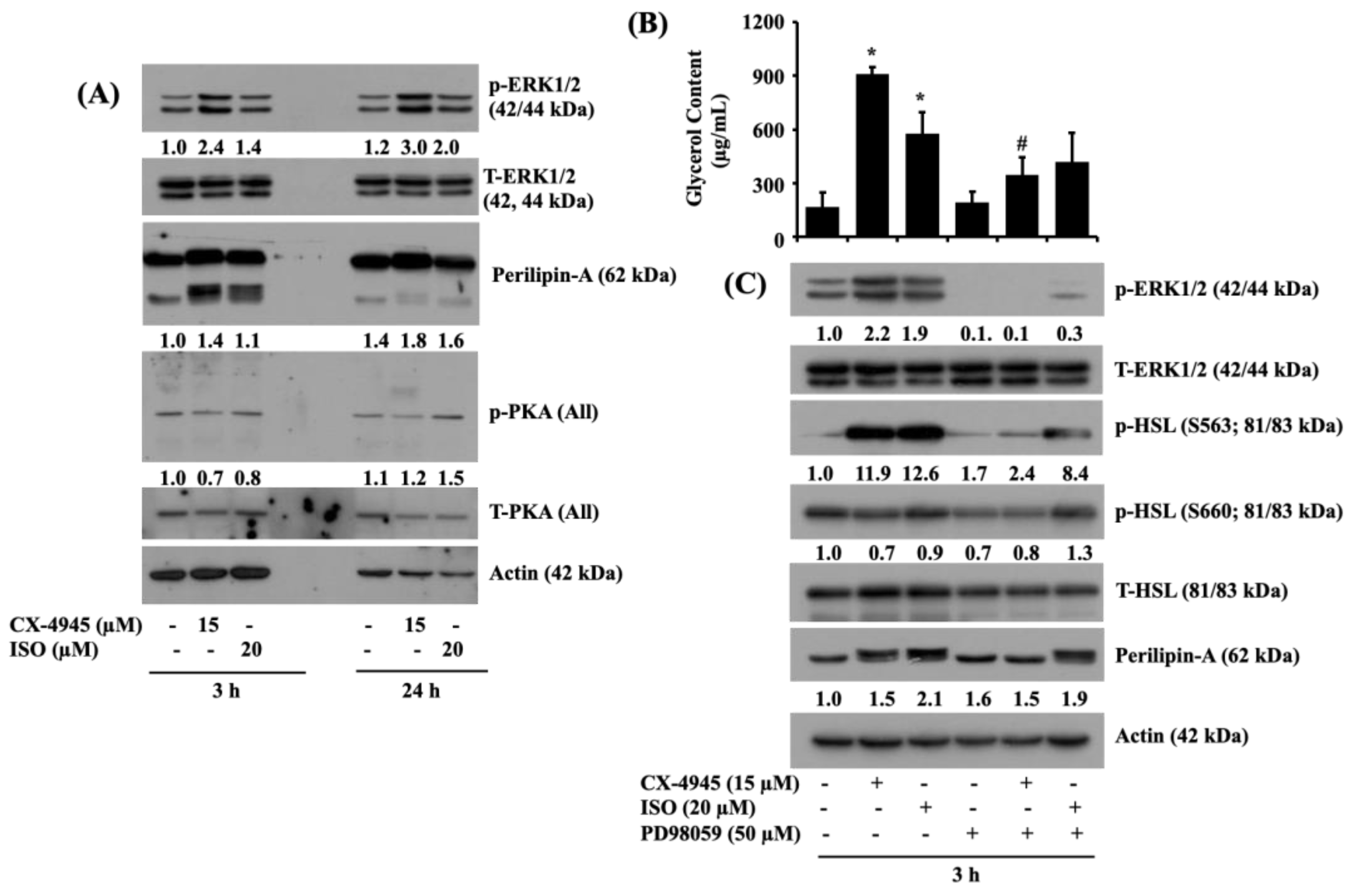 Ijms 23 07274 g007 Ijms 23 07274 g007