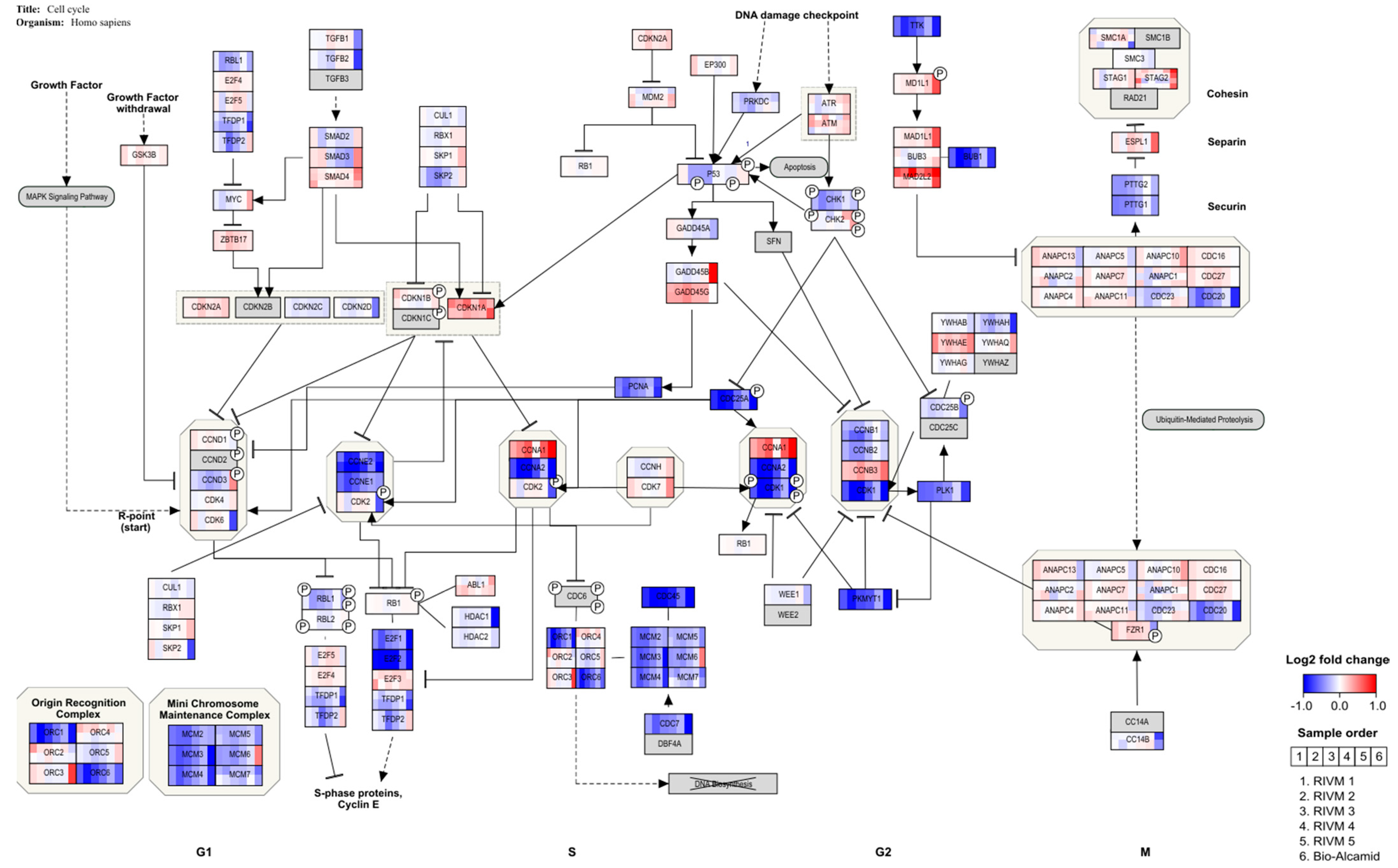 Ijms 23 07275 g003 550