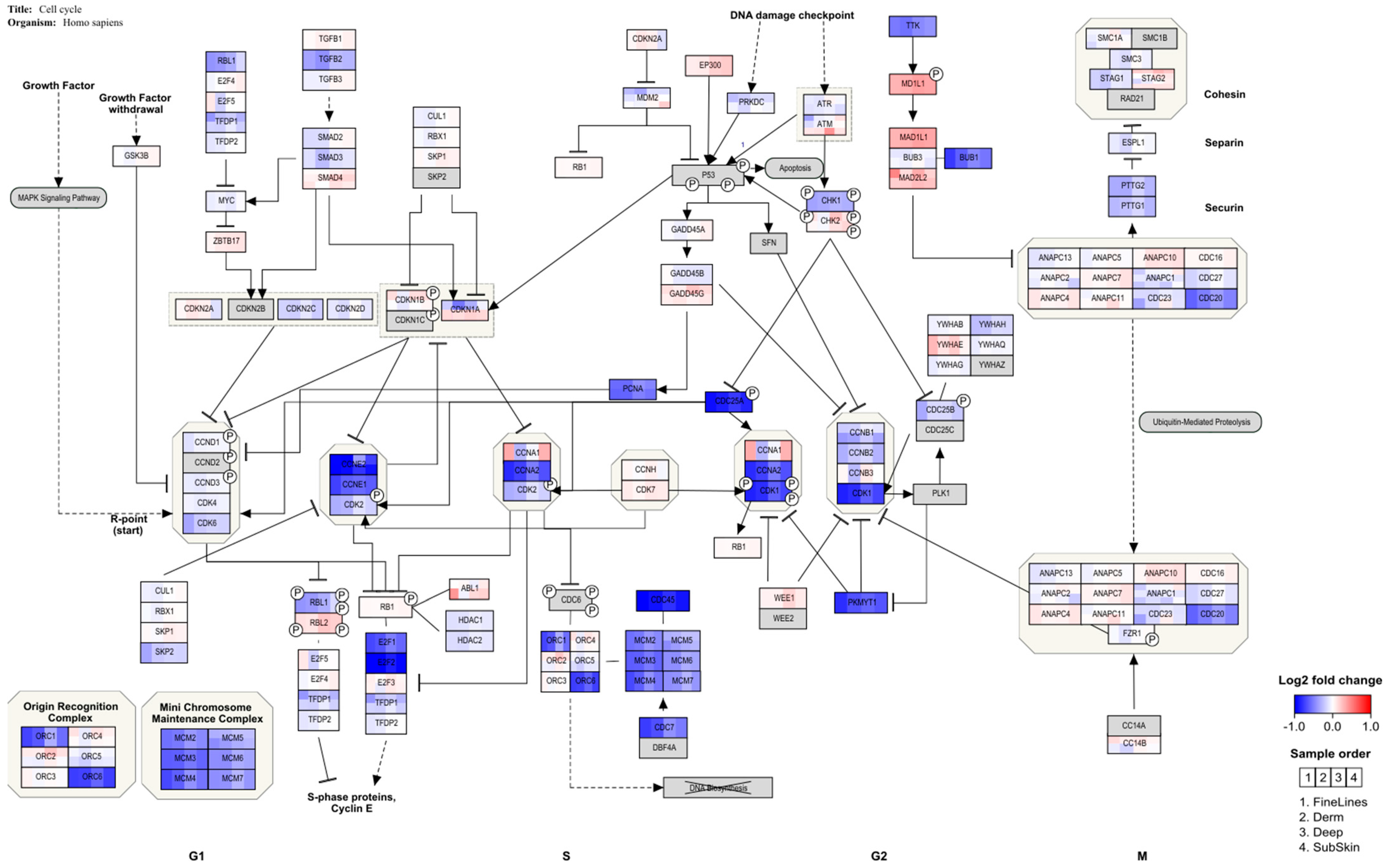 Ijms 23 07275 g004 550