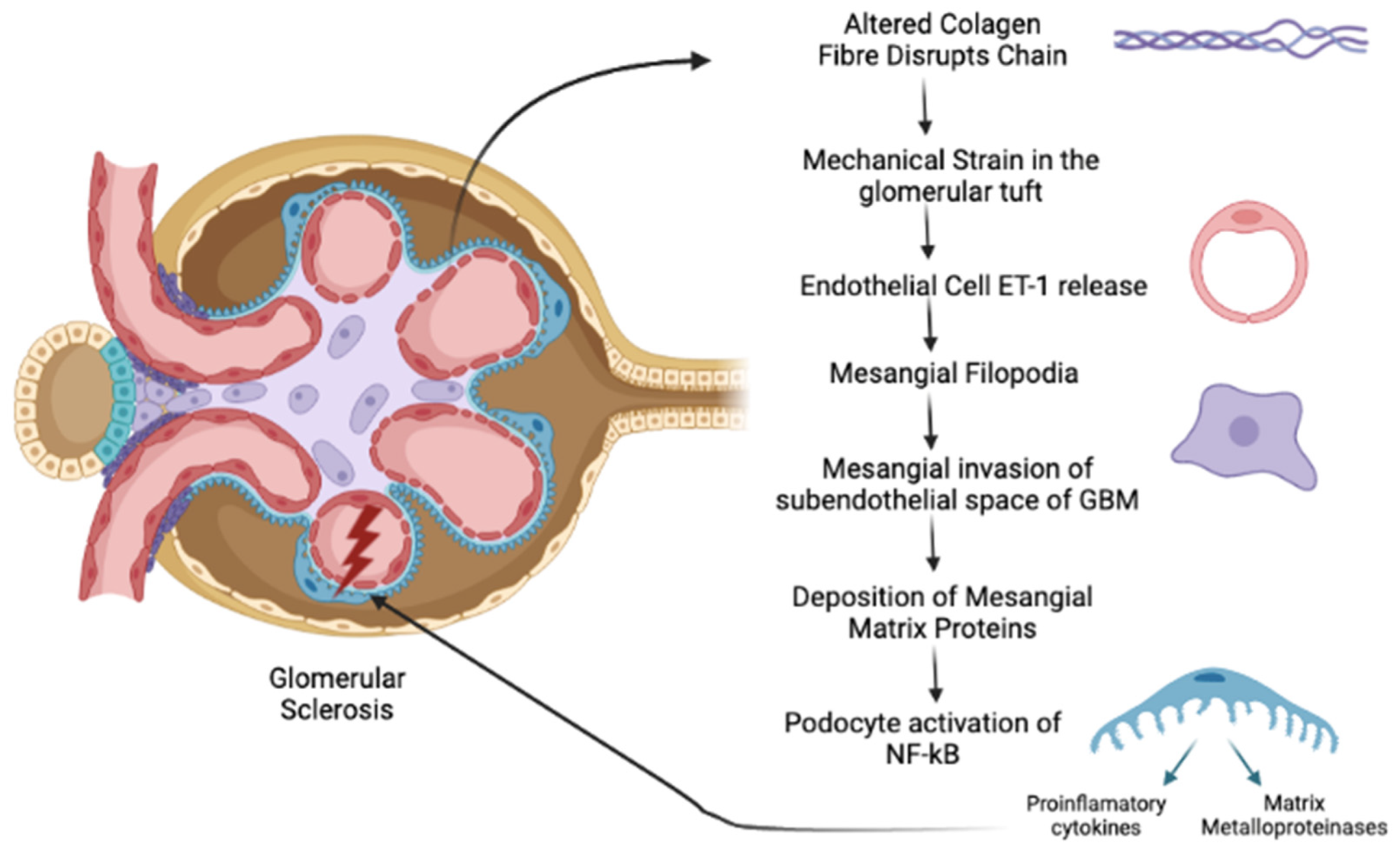 Ijms 23 07276 g001 550