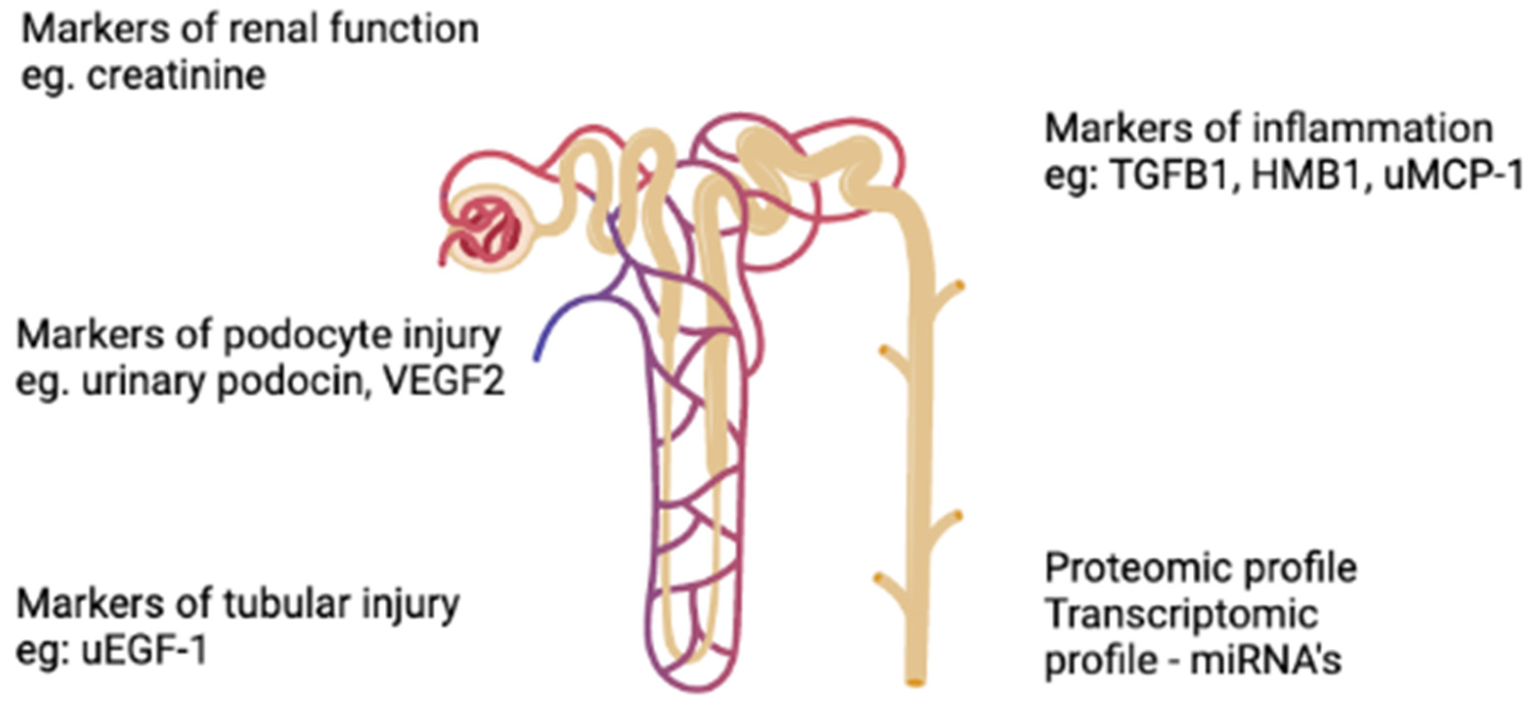 Ijms 23 07276 g002 550