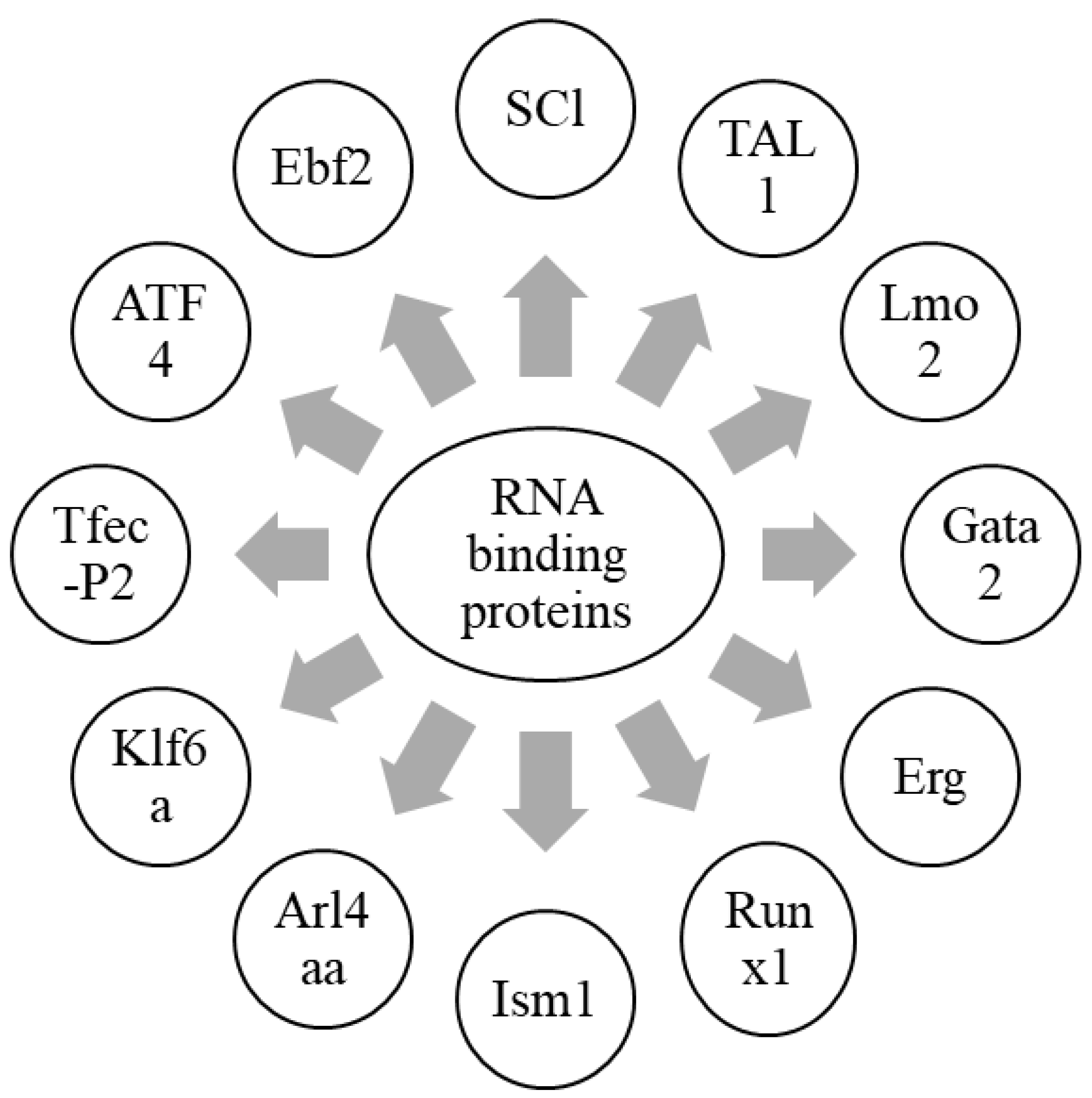 Ijms 23 07285 g002 Ijms 23 07285 g002