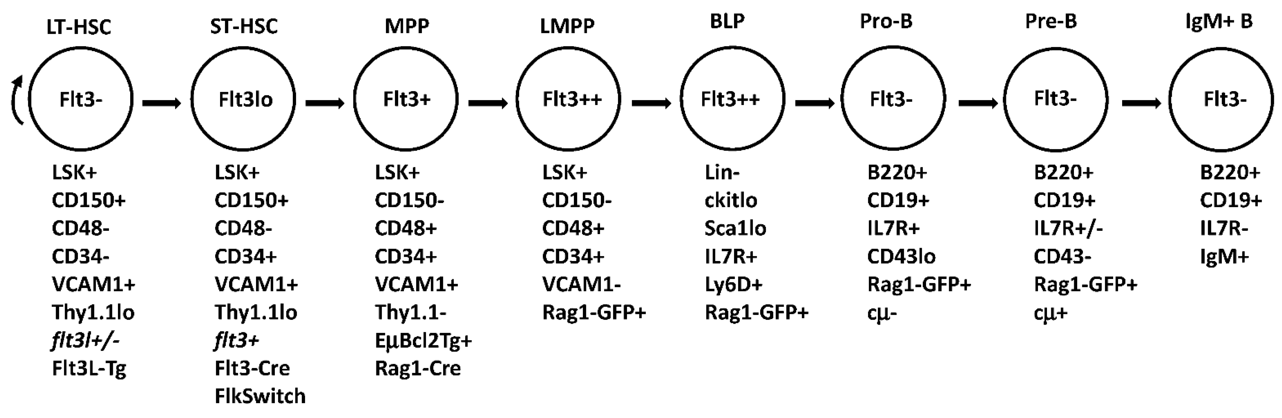 Ijms 23 07289 g001 550