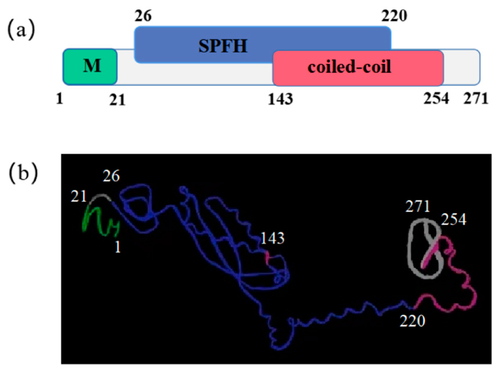 Ijms 23 07295 g004 Ijms 23 07295 g004