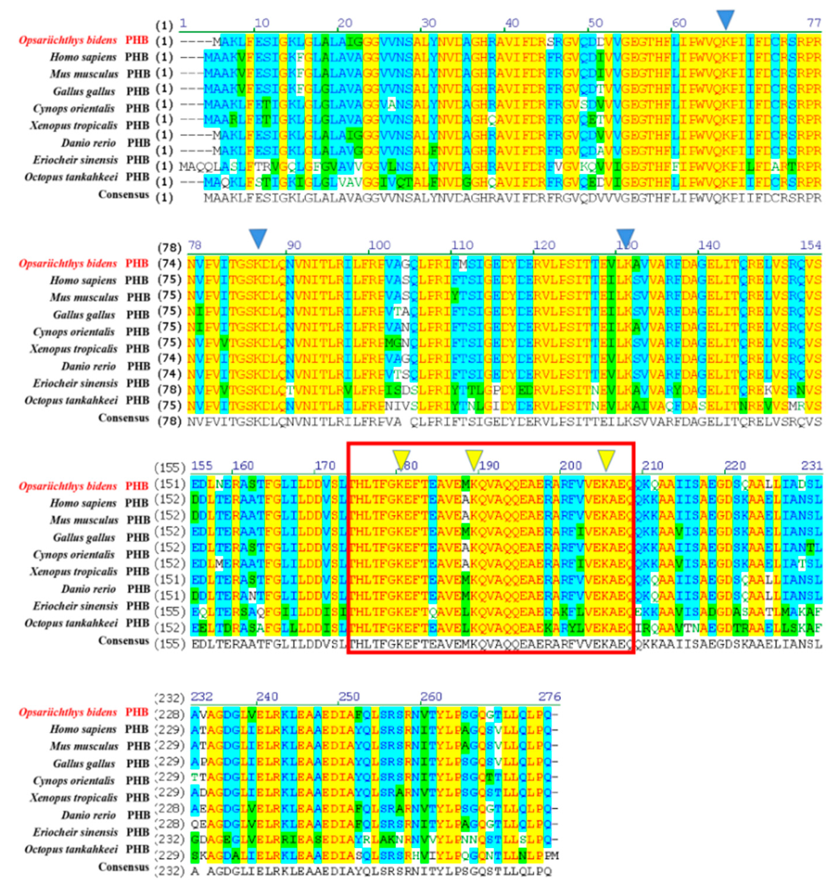 Ijms 23 07295 g005 Ijms 23 07295 g005