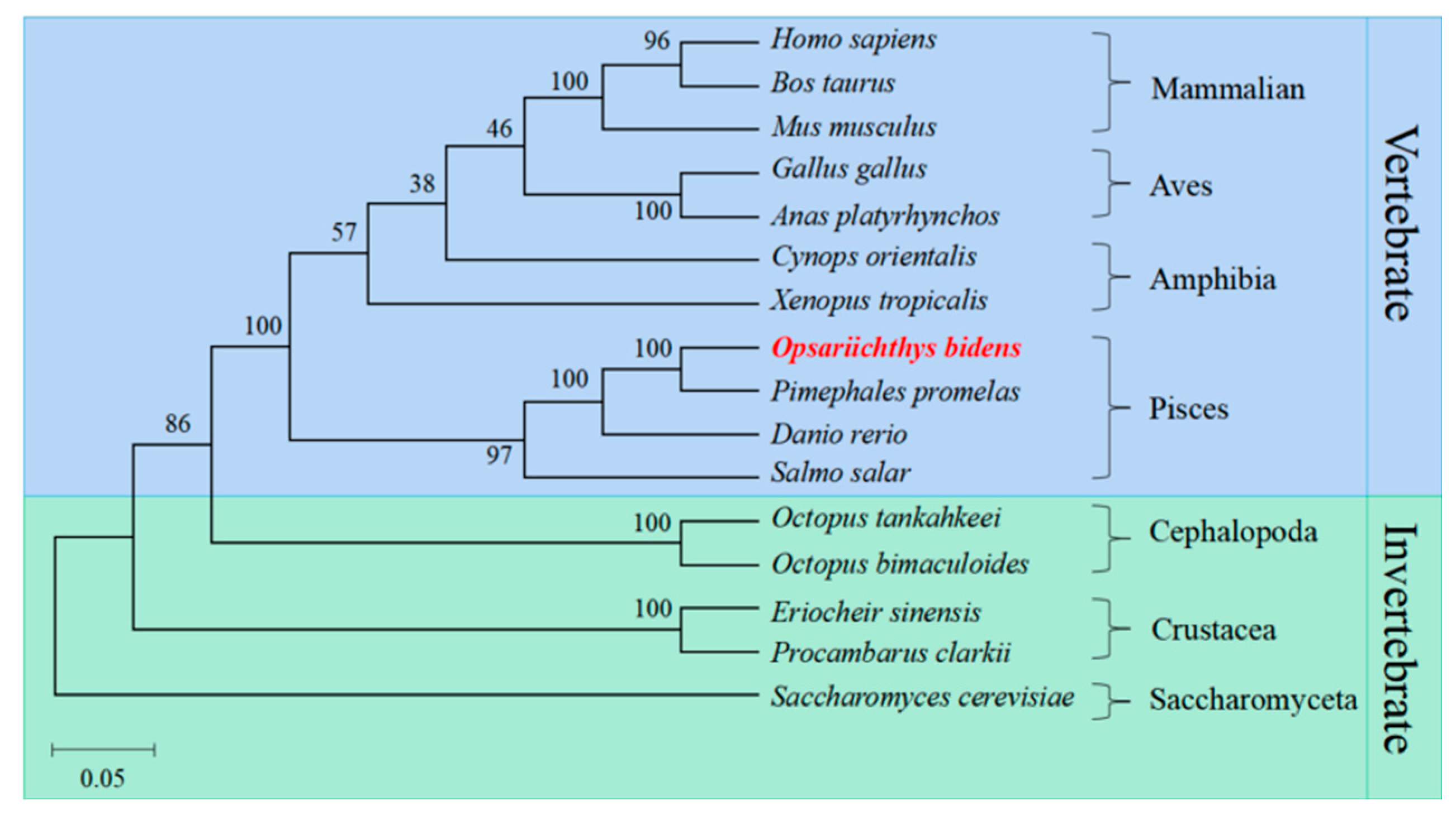 Ijms 23 07295 g006 Ijms 23 07295 g006