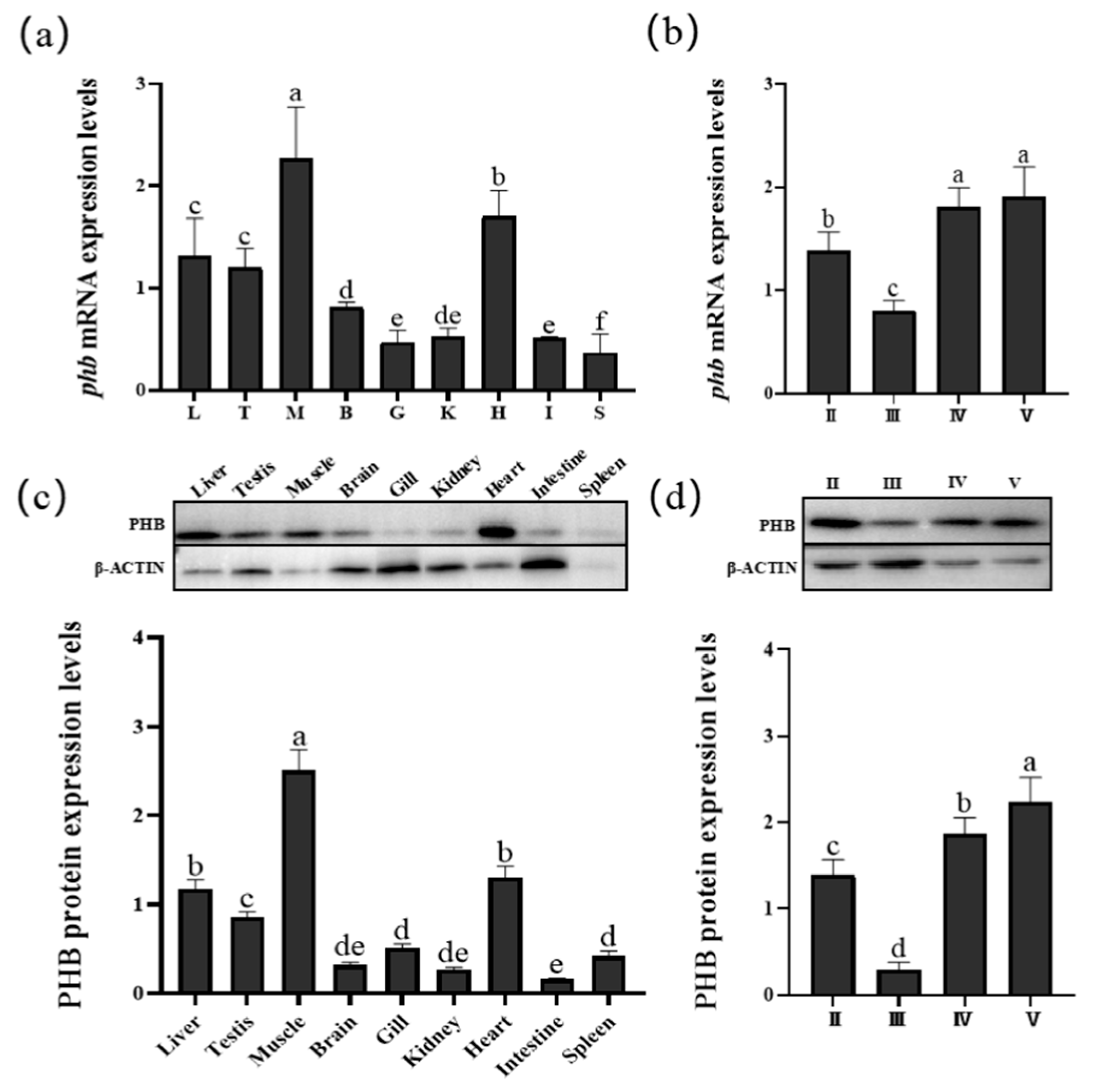 Ijms 23 07295 g007 Ijms 23 07295 g007