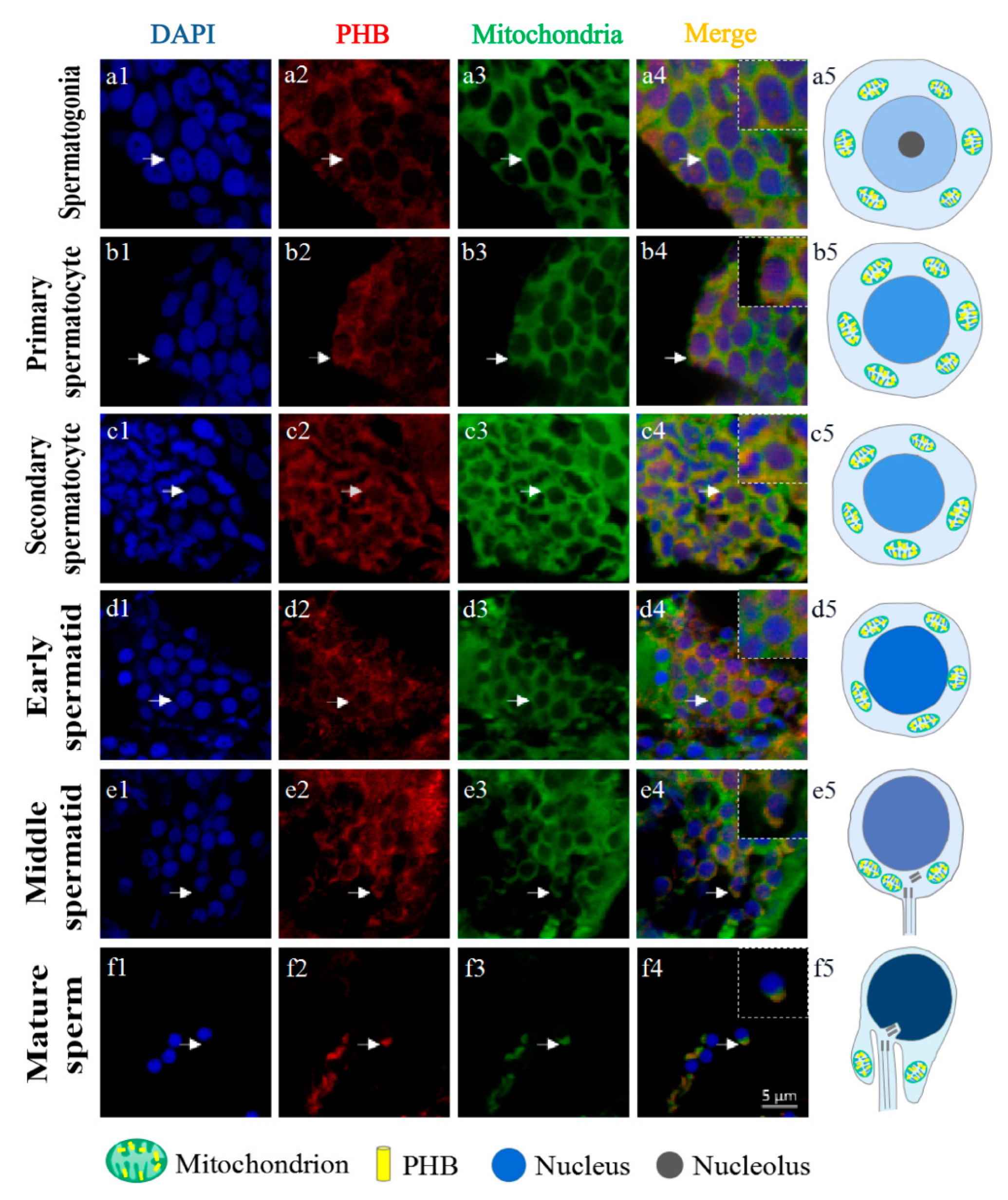 Ijms 23 07295 g009 Ijms 23 07295 g009
