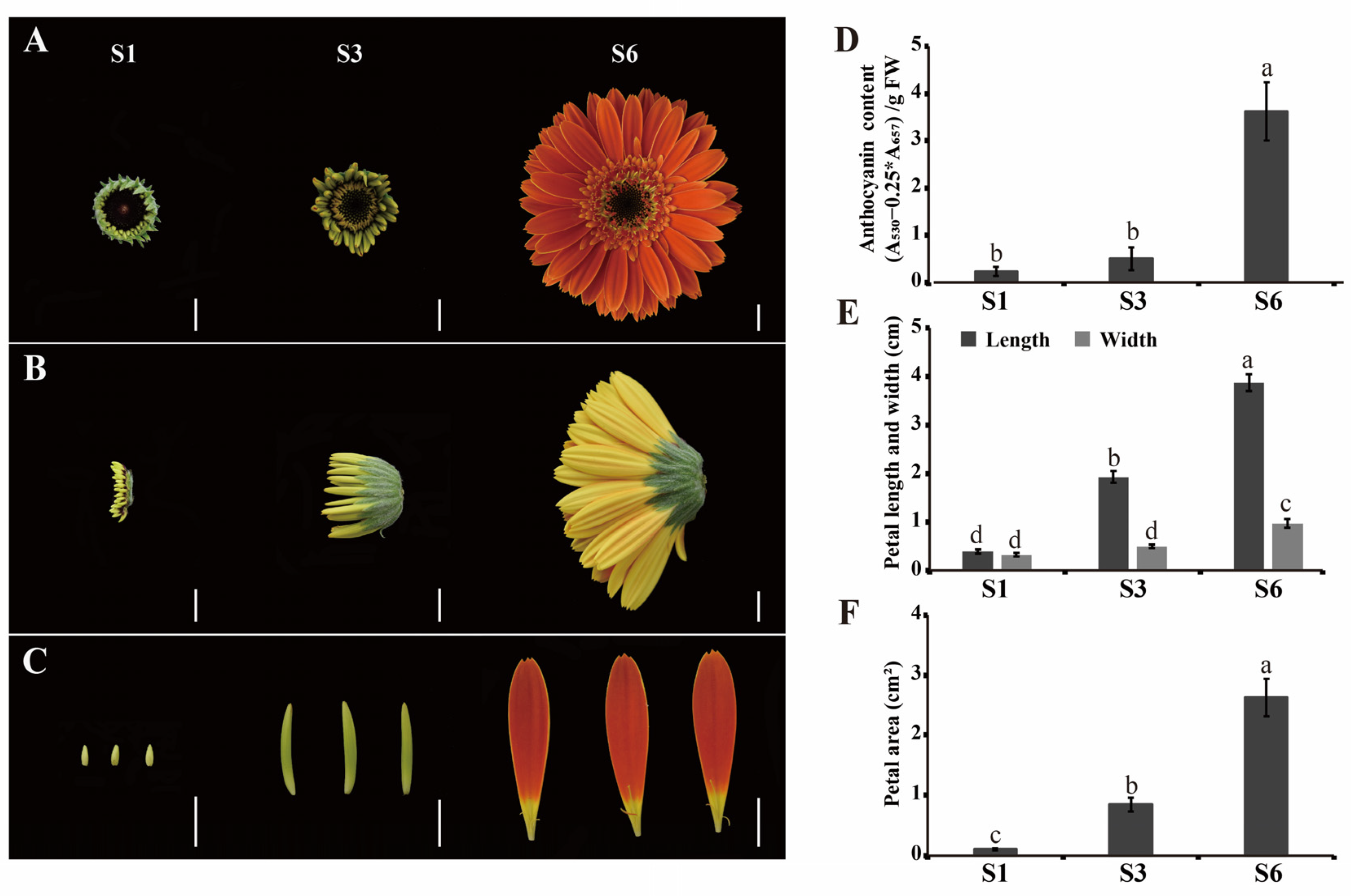 IJMS Free FullText Integrative Analysis of miRNAs and Their