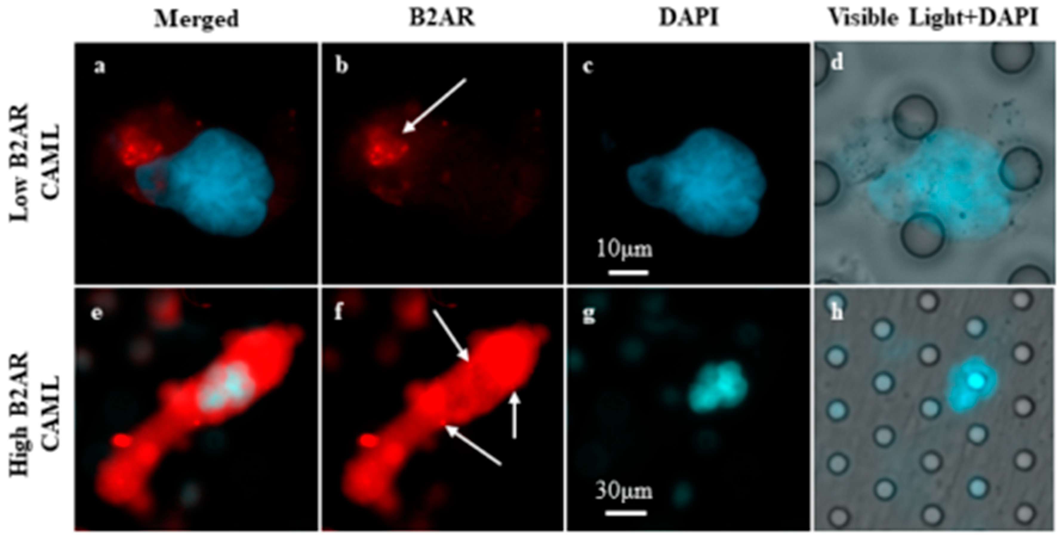 Ijms 23 07299 g001 550