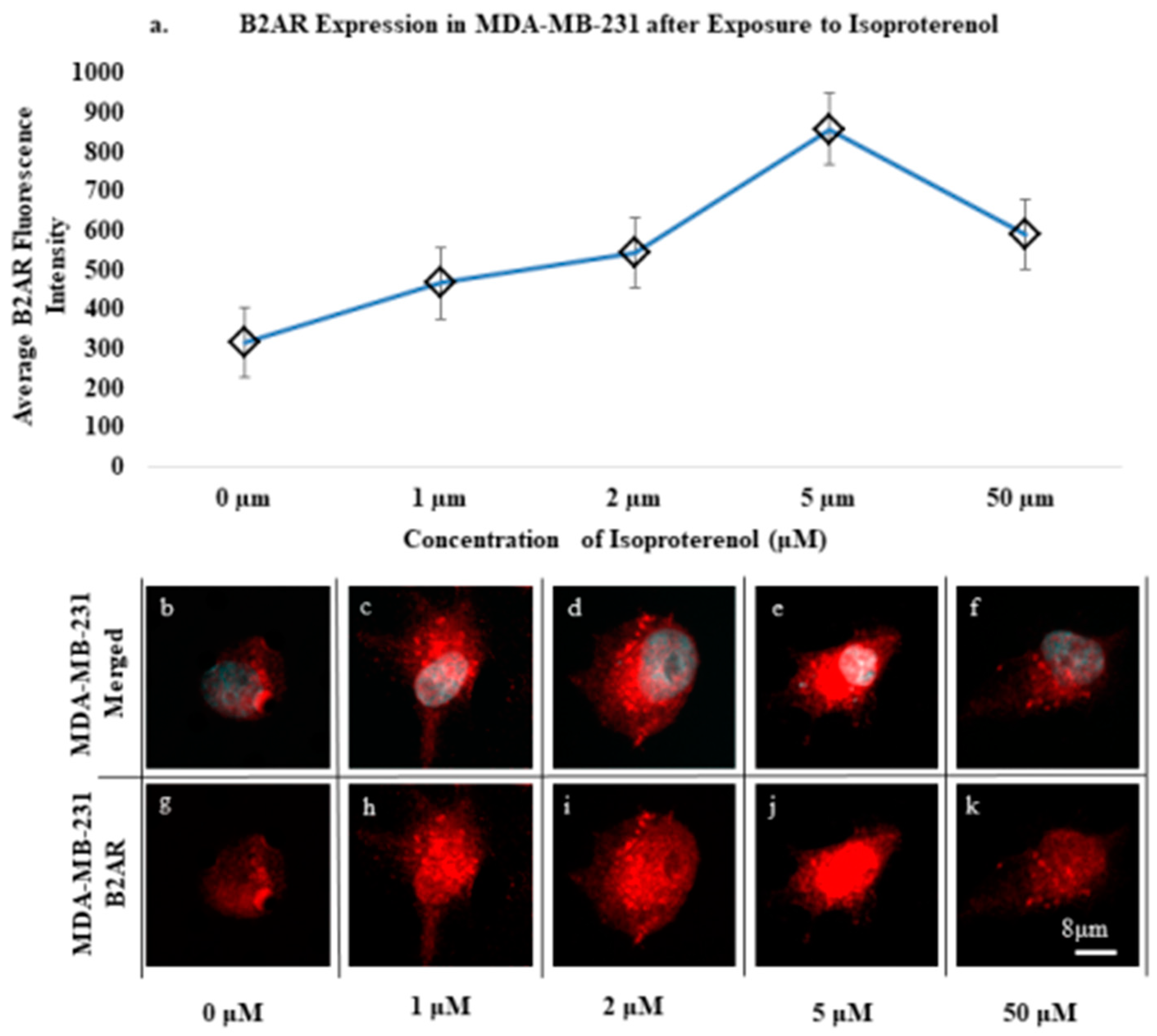 Ijms 23 07299 g002 550