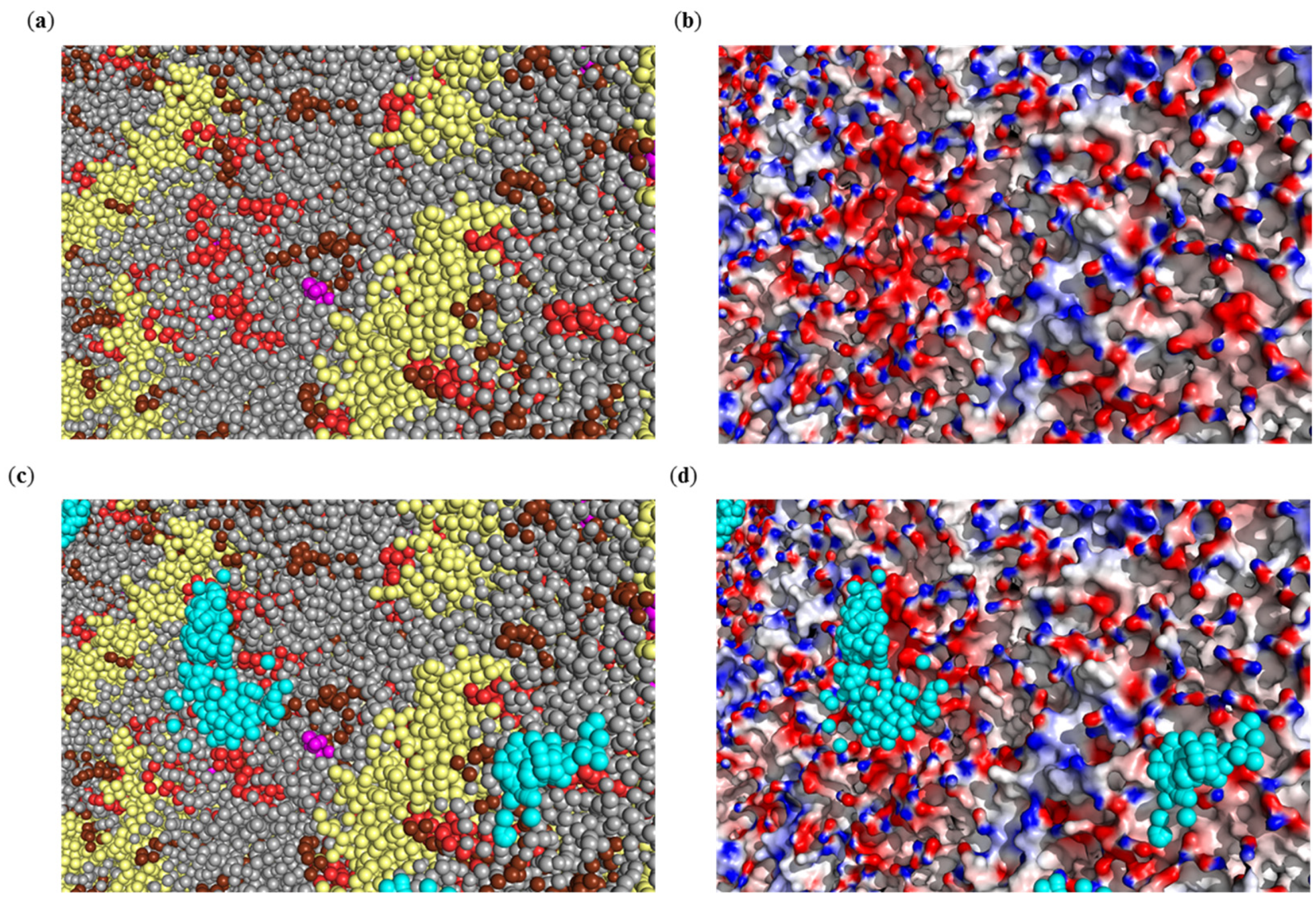 Ijms 23 07304 g002 550