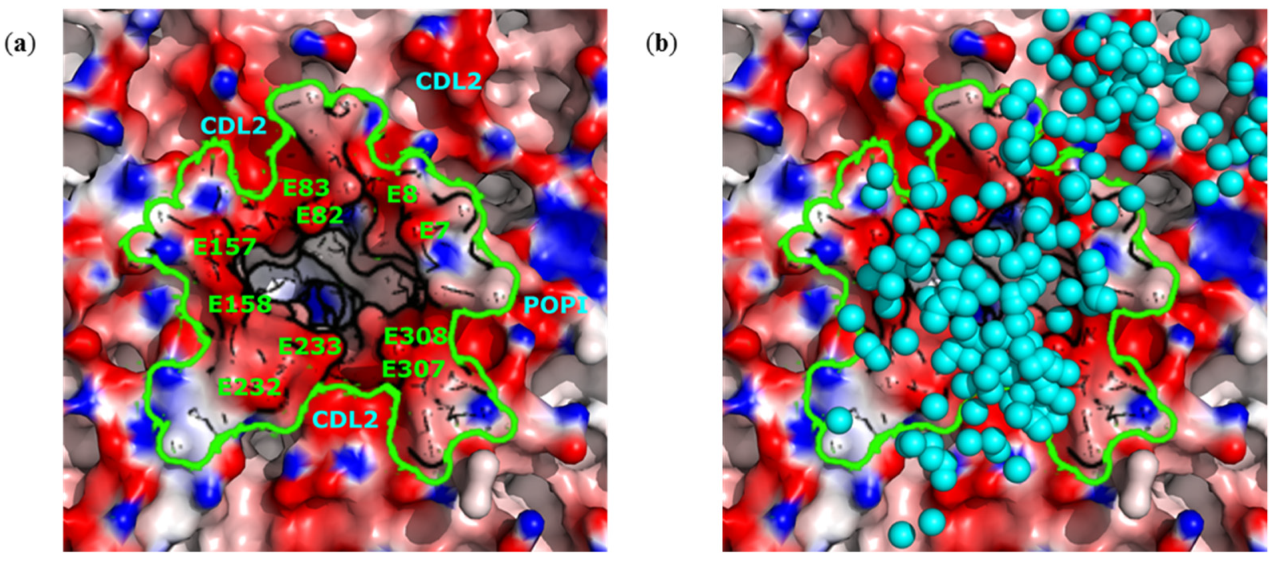 Ijms 23 07304 g003 550