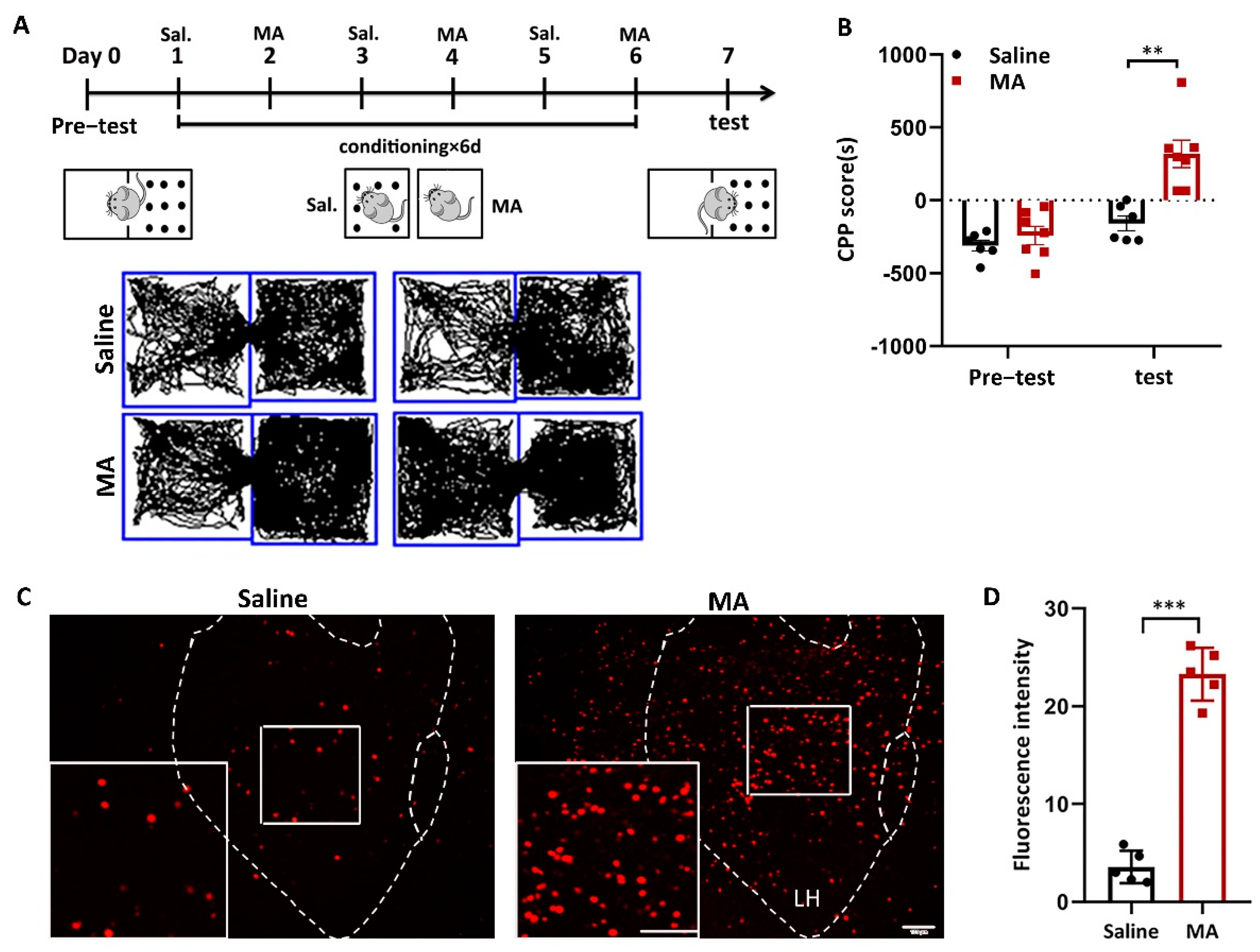 Ijms 23 07305 g001 550