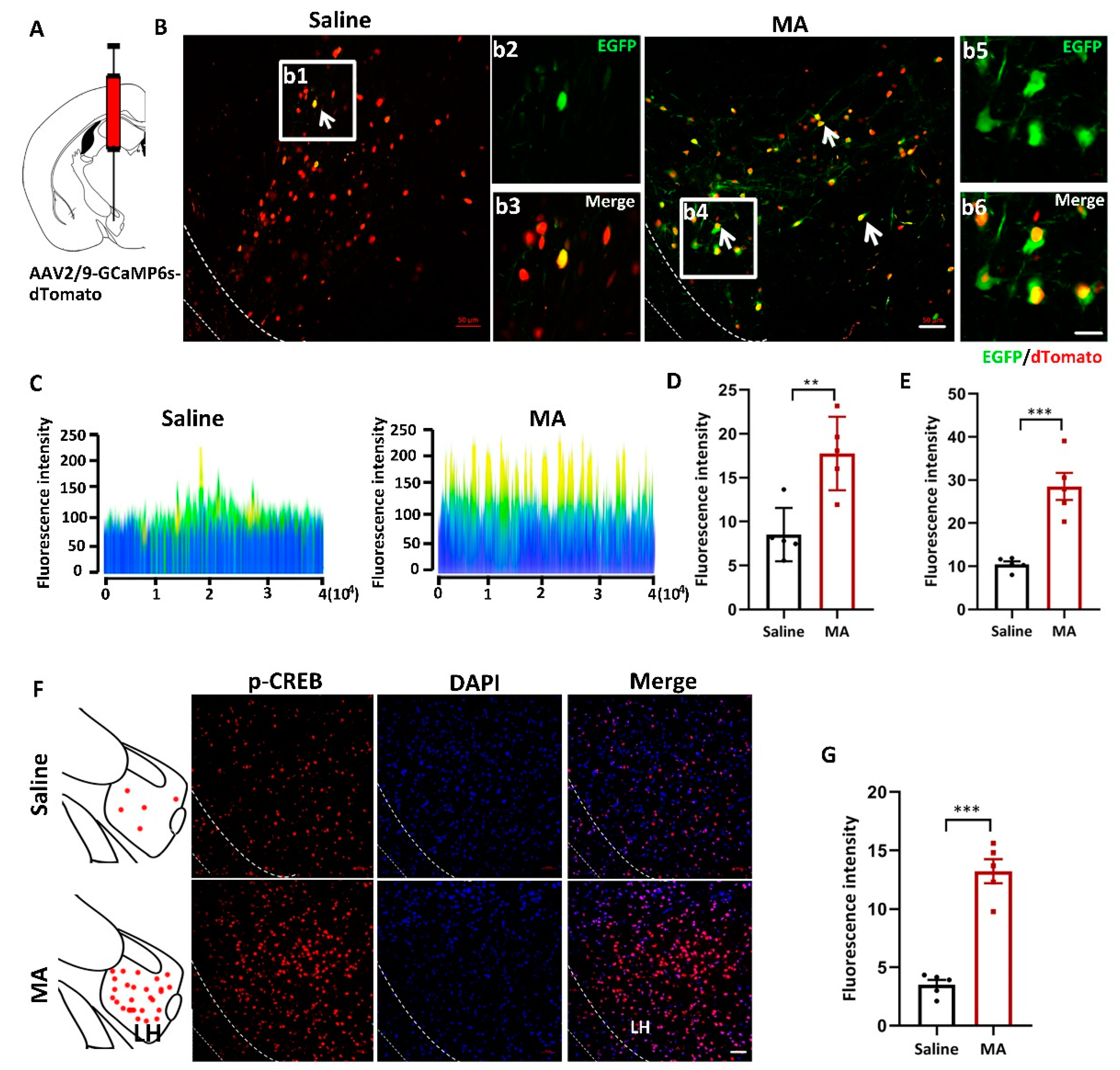 Ijms 23 07305 g002 550