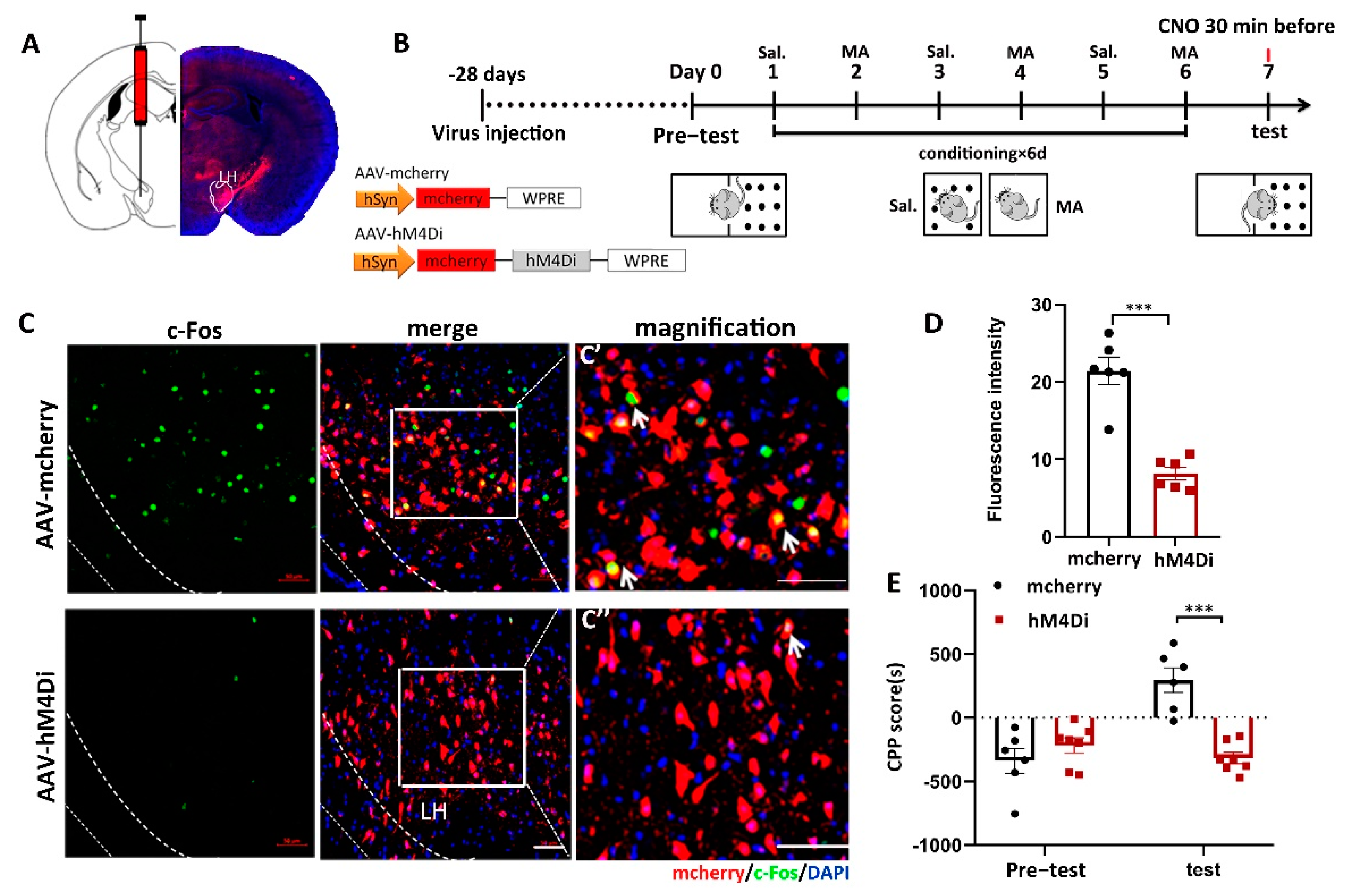 Ijms 23 07305 g003 550