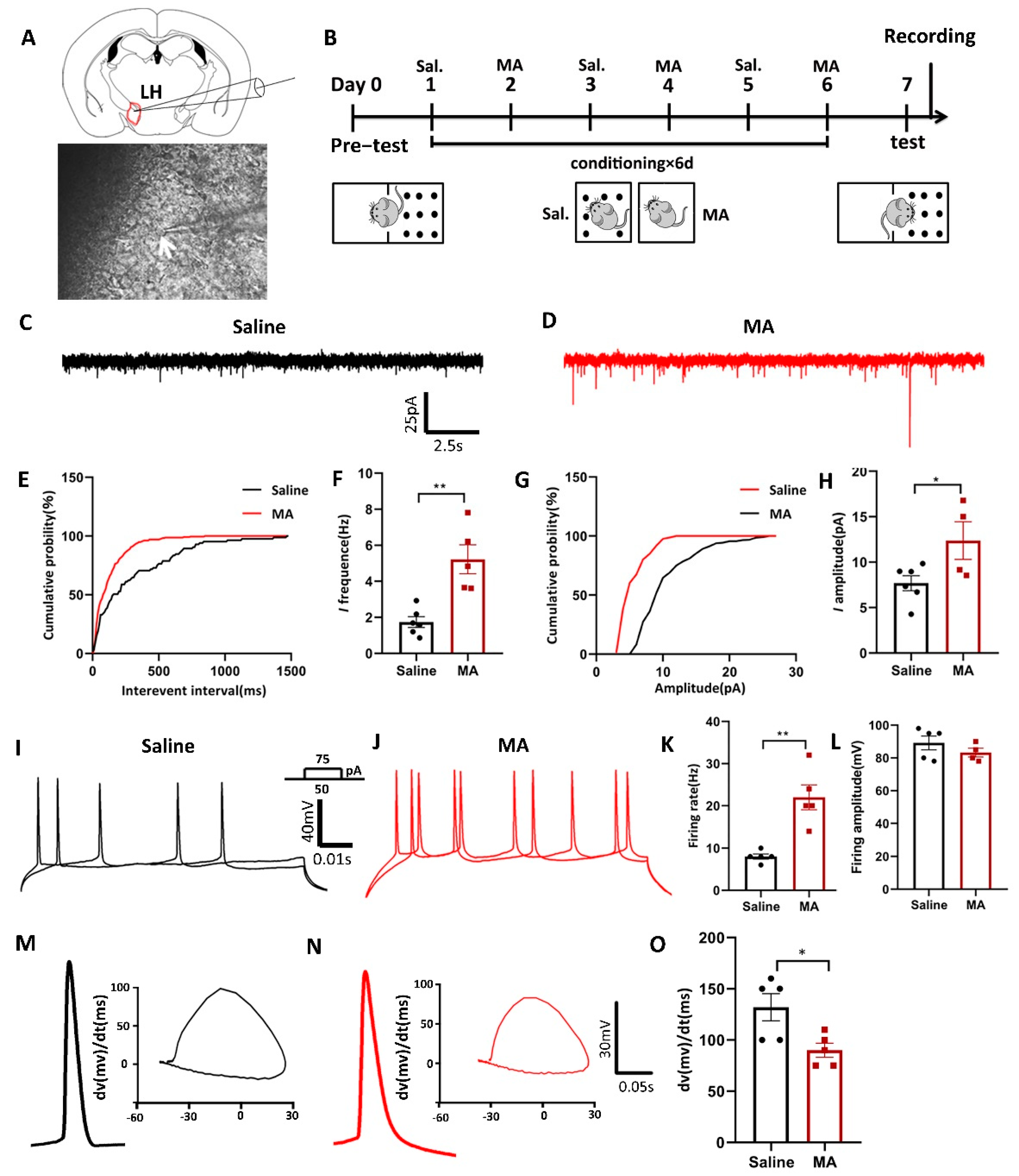 Ijms 23 07305 g004 550