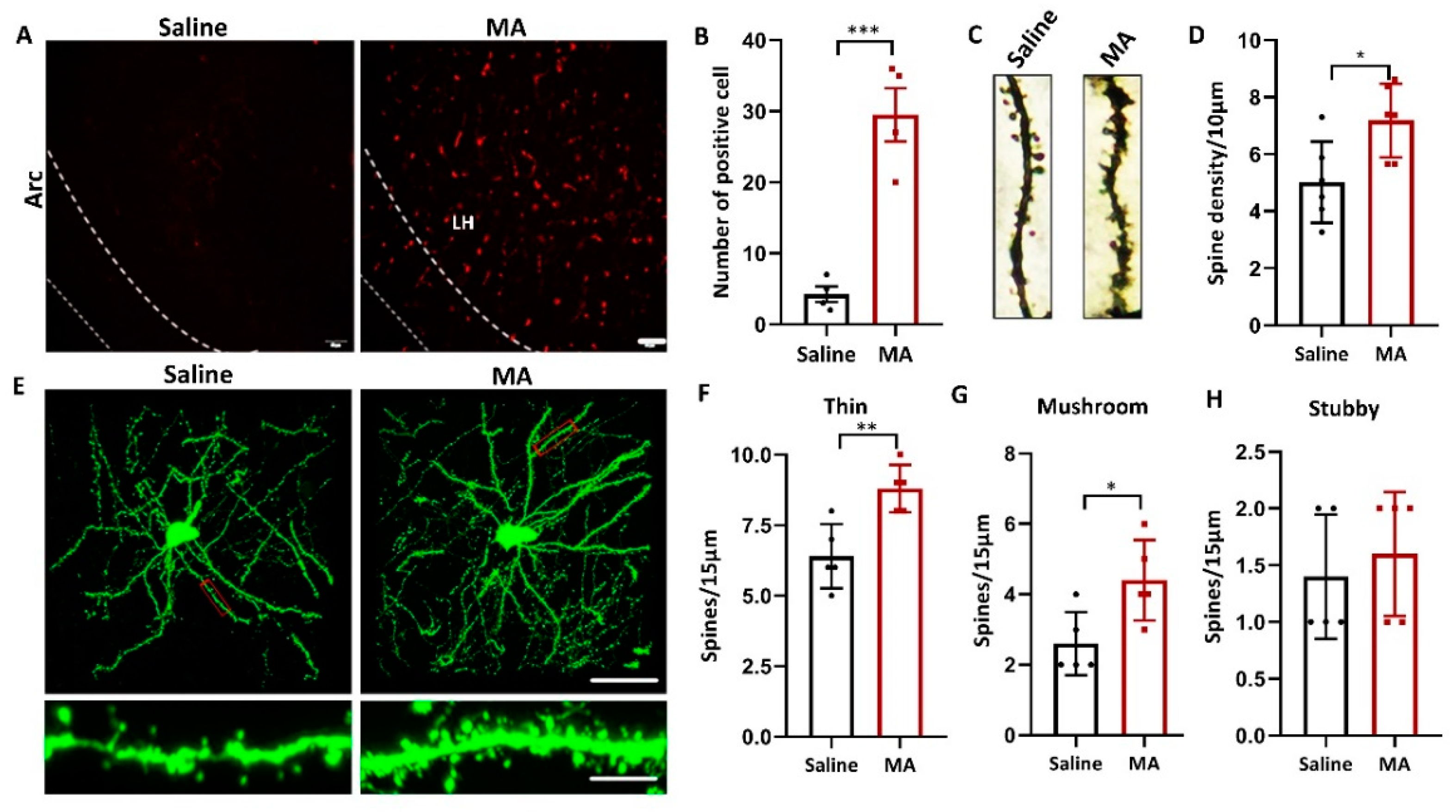 Ijms 23 07305 g005 550