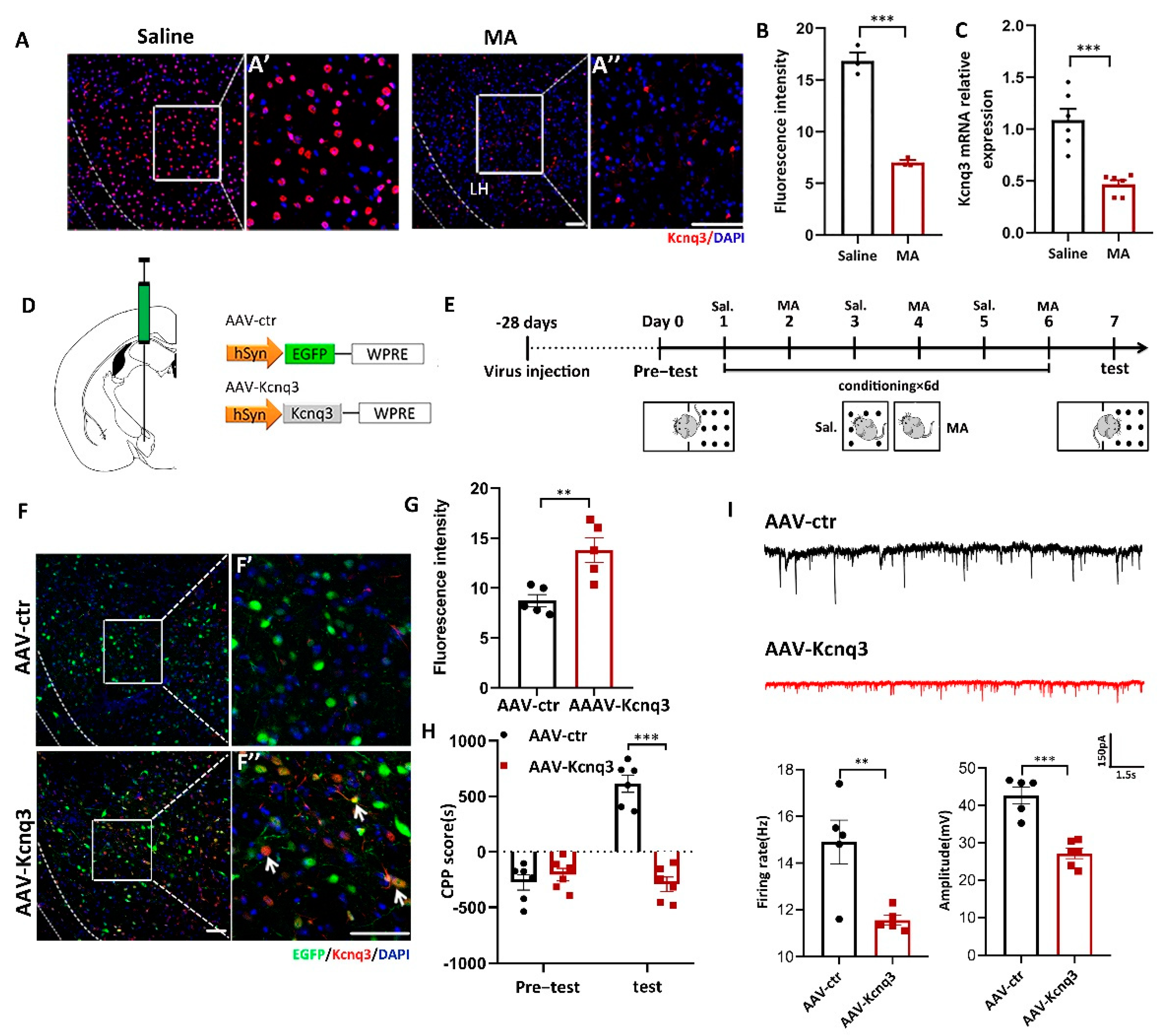 Ijms 23 07305 g006 550