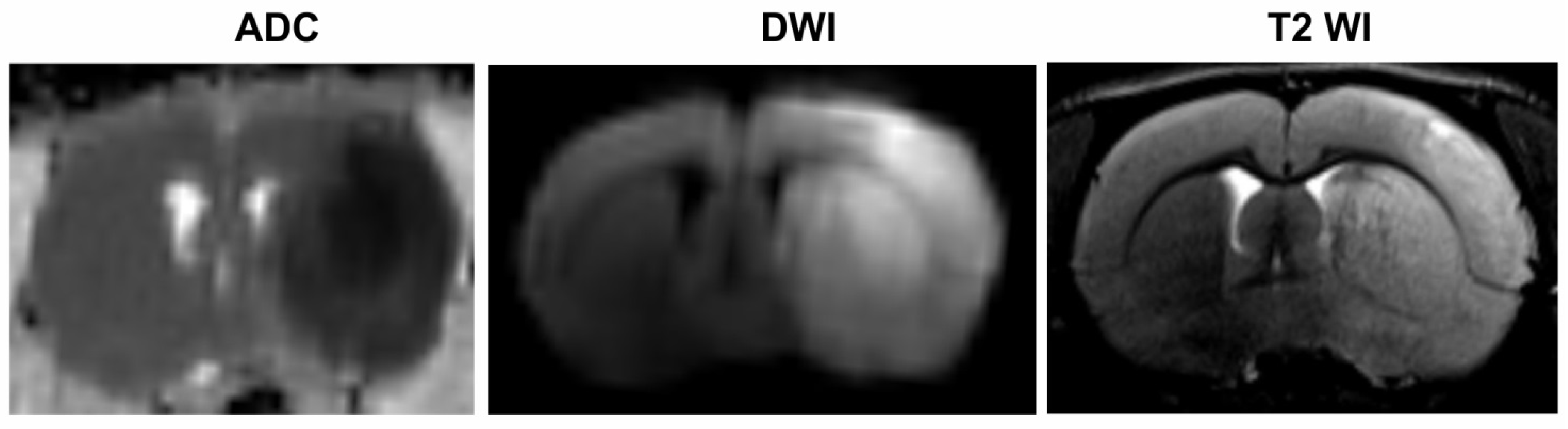 Ijms 23 07308 g001 550