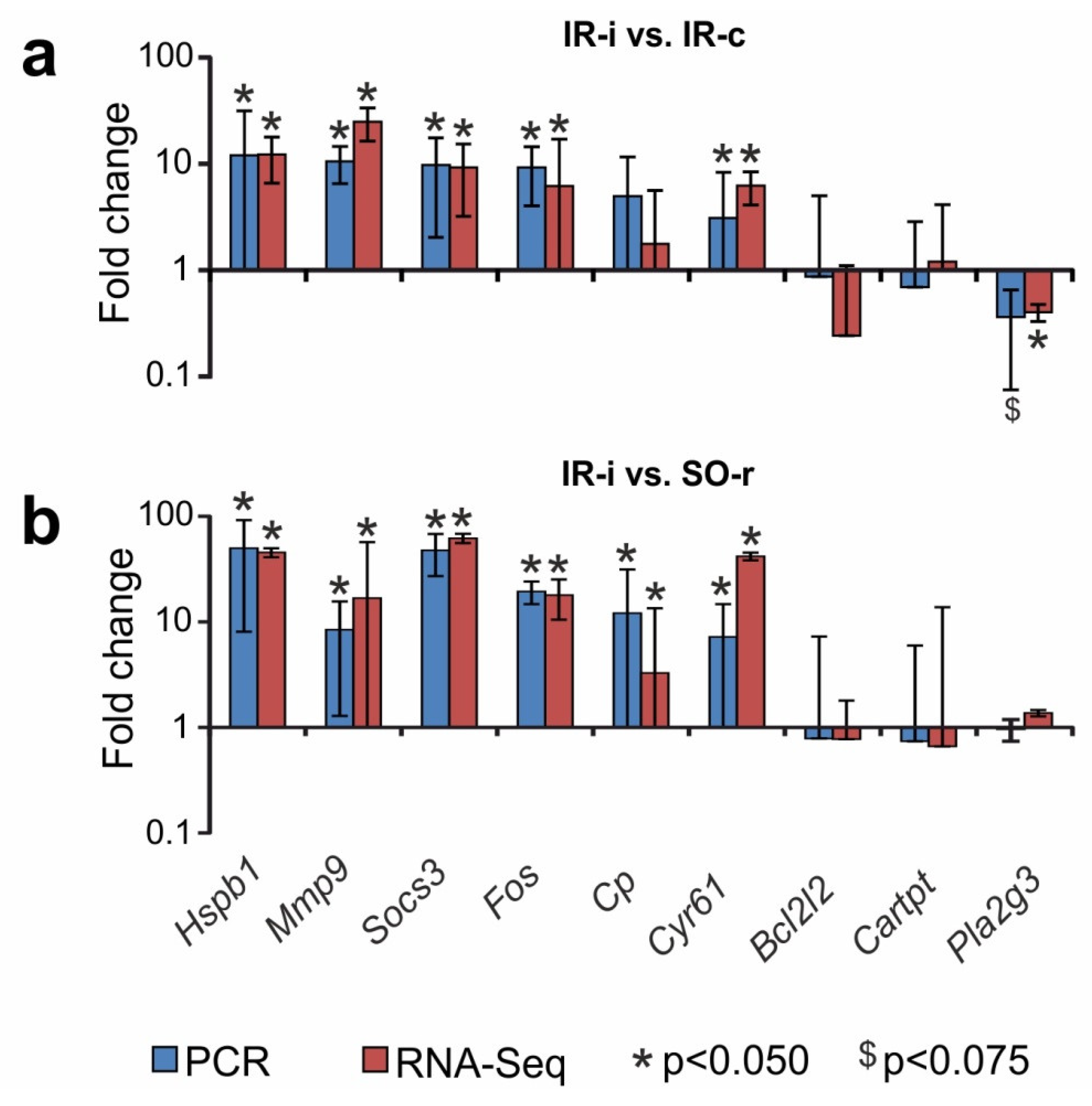 Ijms 23 07308 g005 550