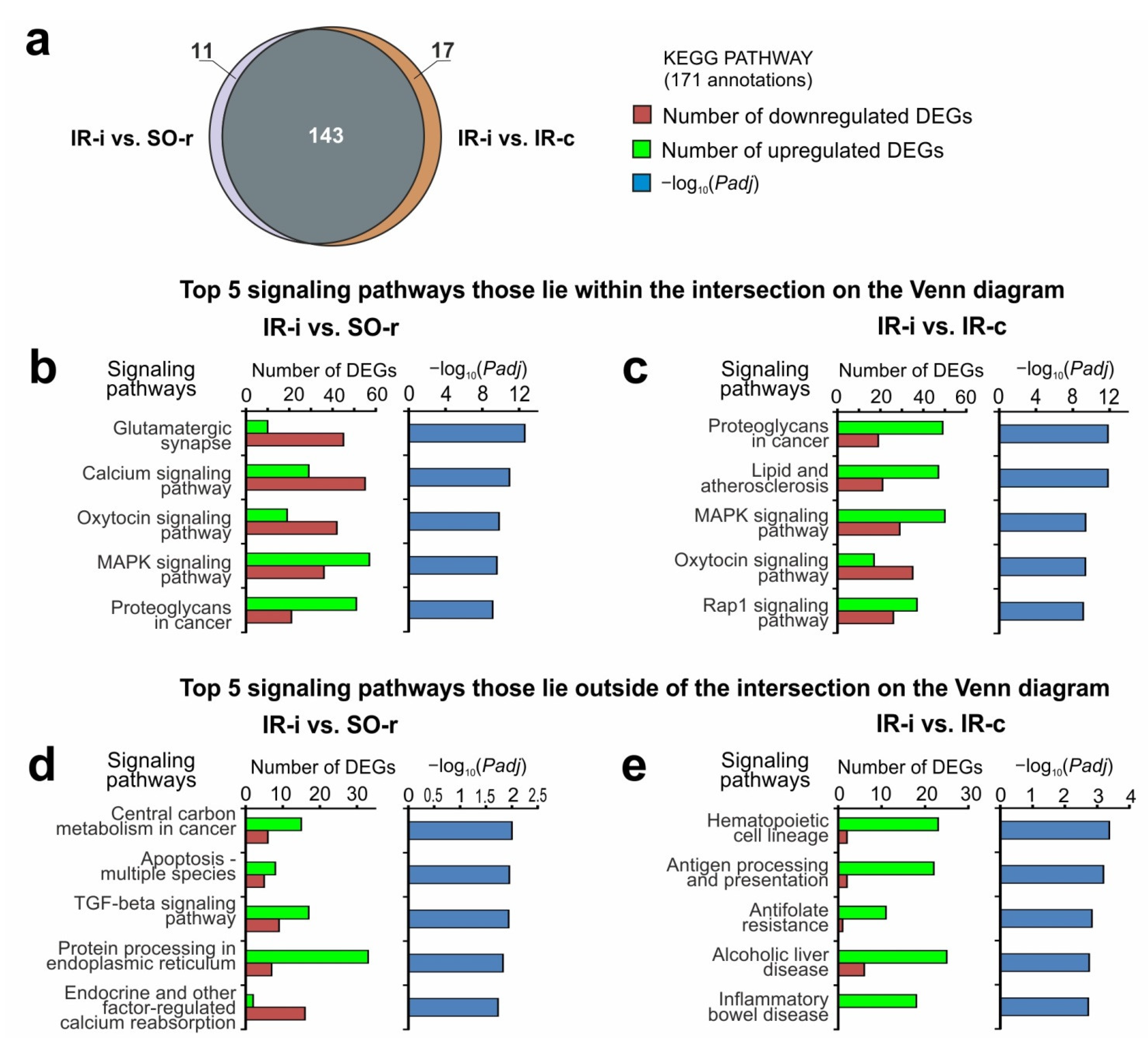 Ijms 23 07308 g006 550
