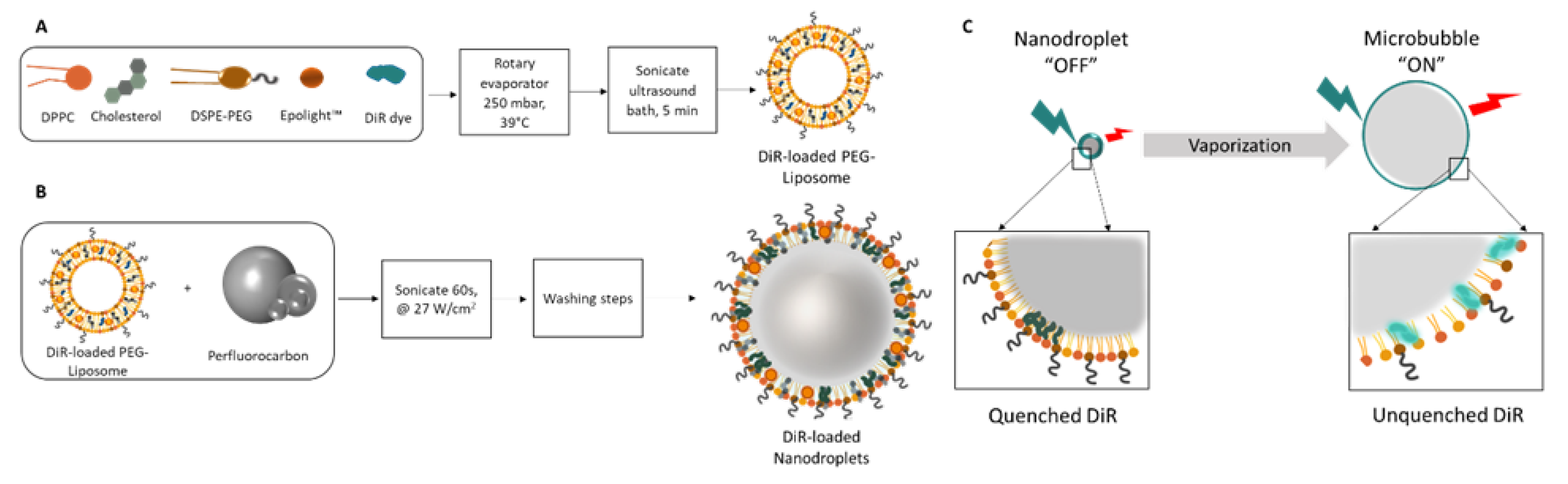 Ijms 23 07312 g001 550