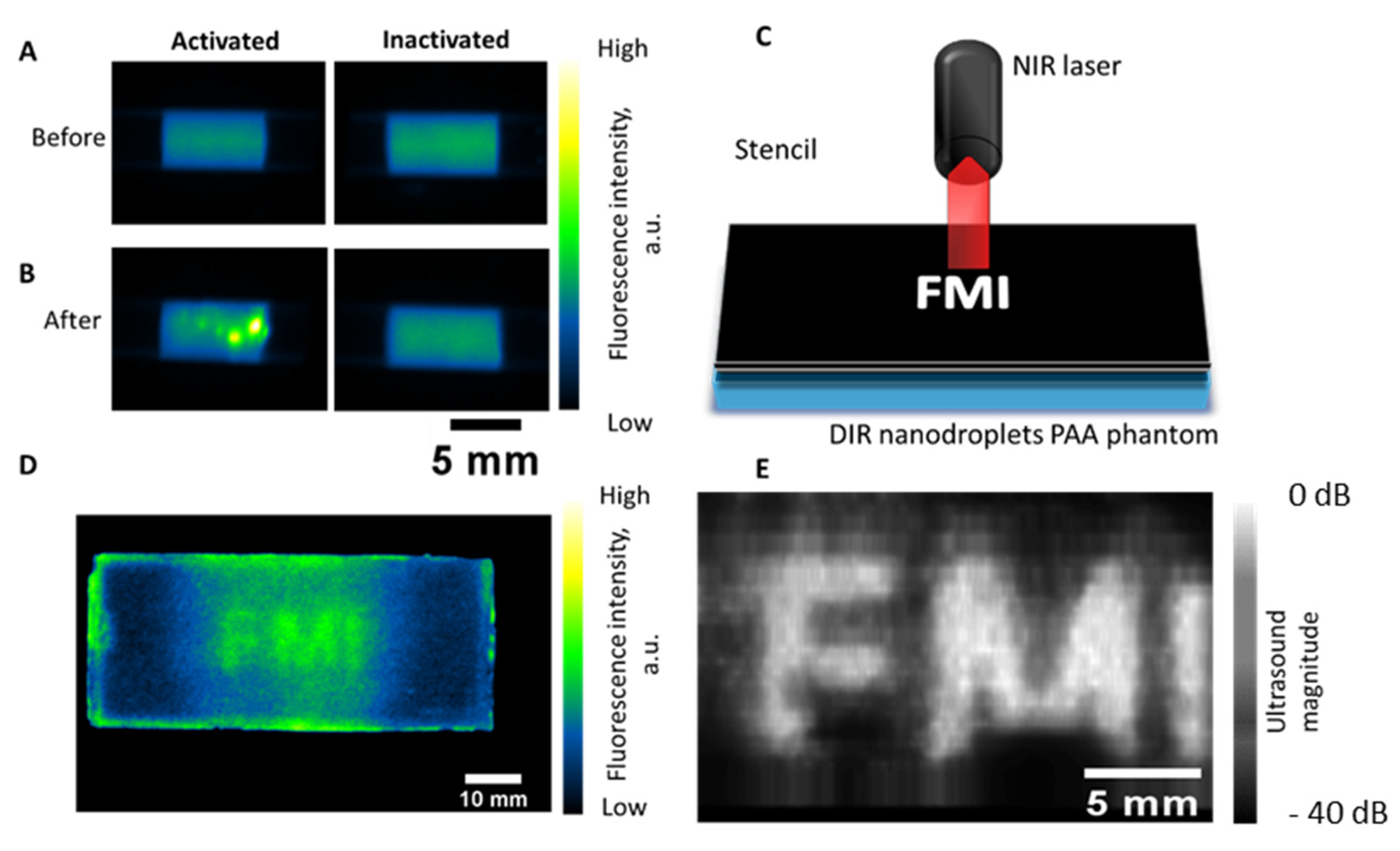 Ijms 23 07312 g003 550