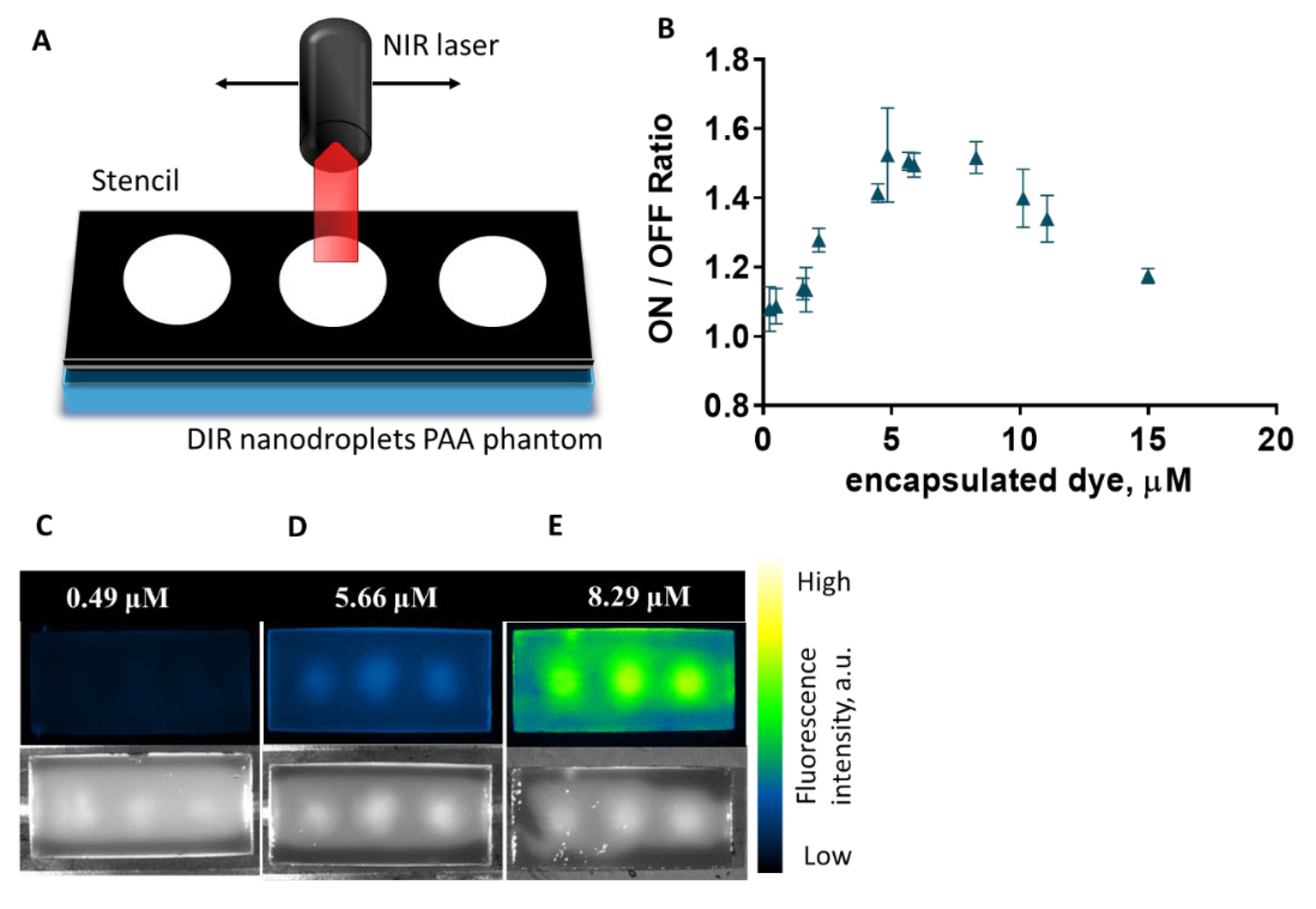 Ijms 23 07312 g004 550