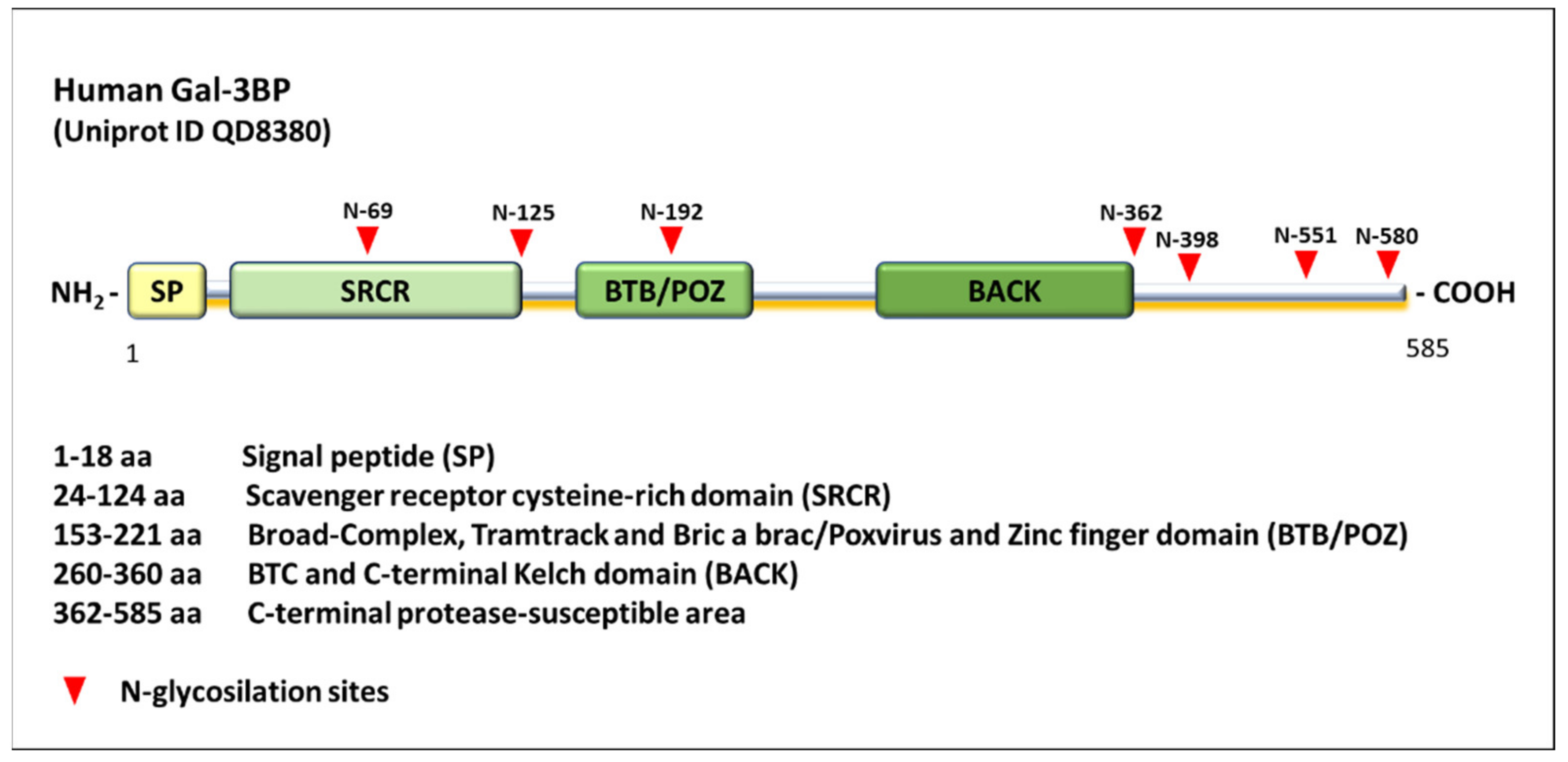 Ijms 23 07314 g001 Ijms 23 07314 g001