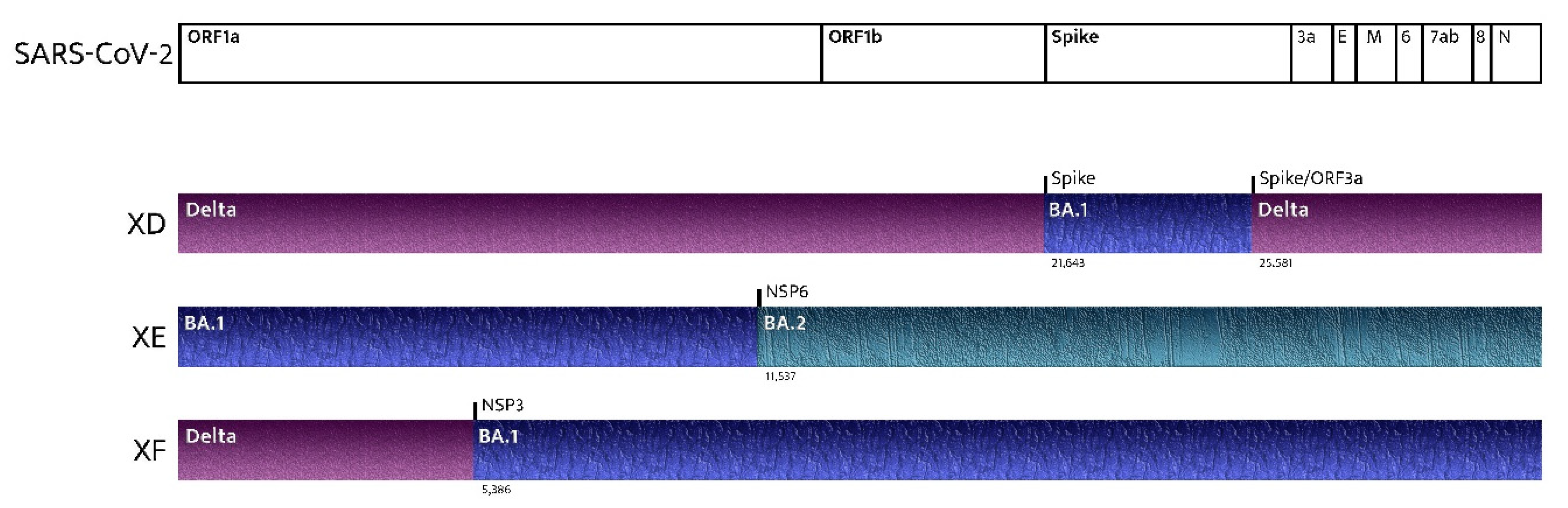 Ijms 23 07315 g002 550