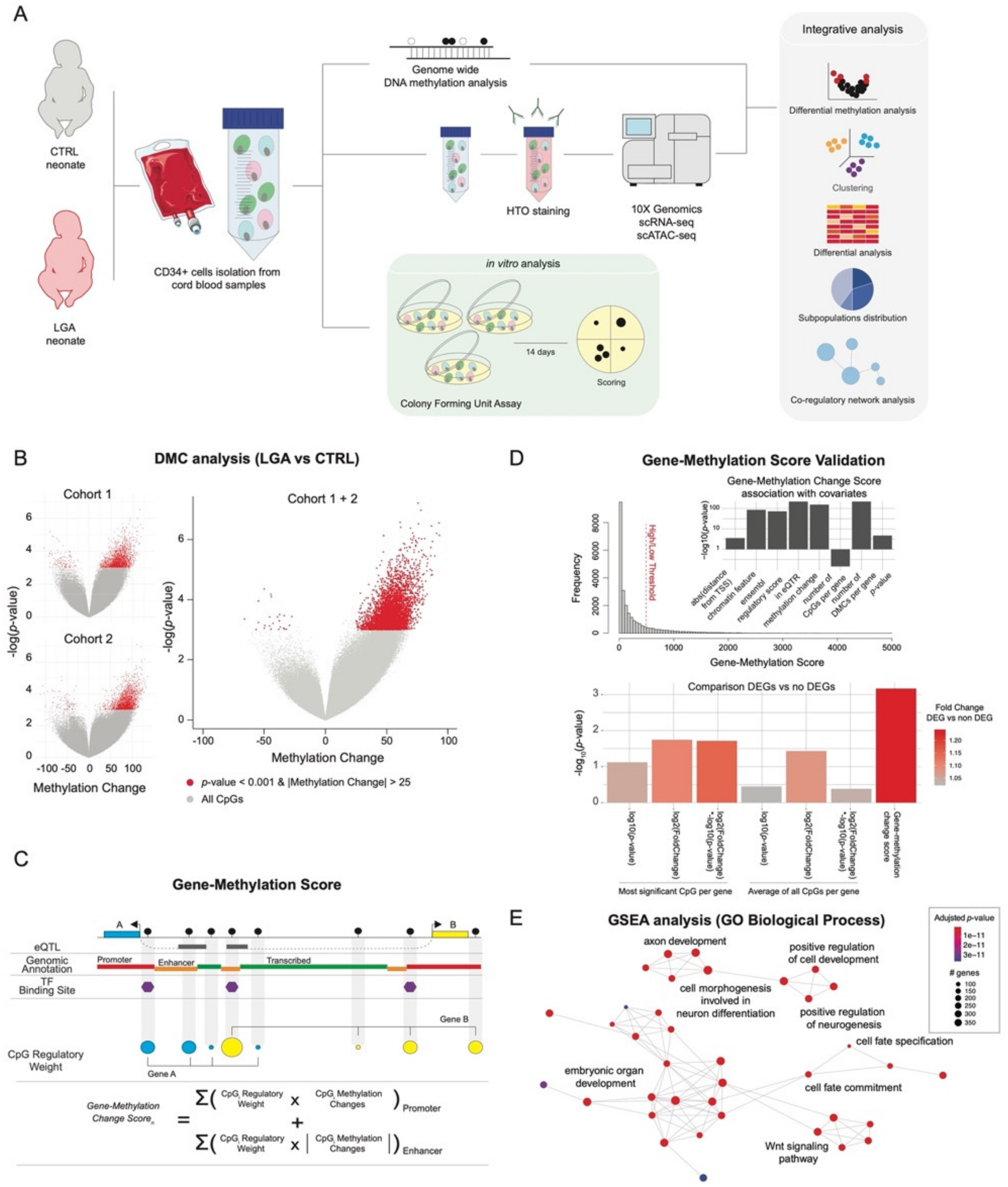 Ijms 23 07323 g001 550