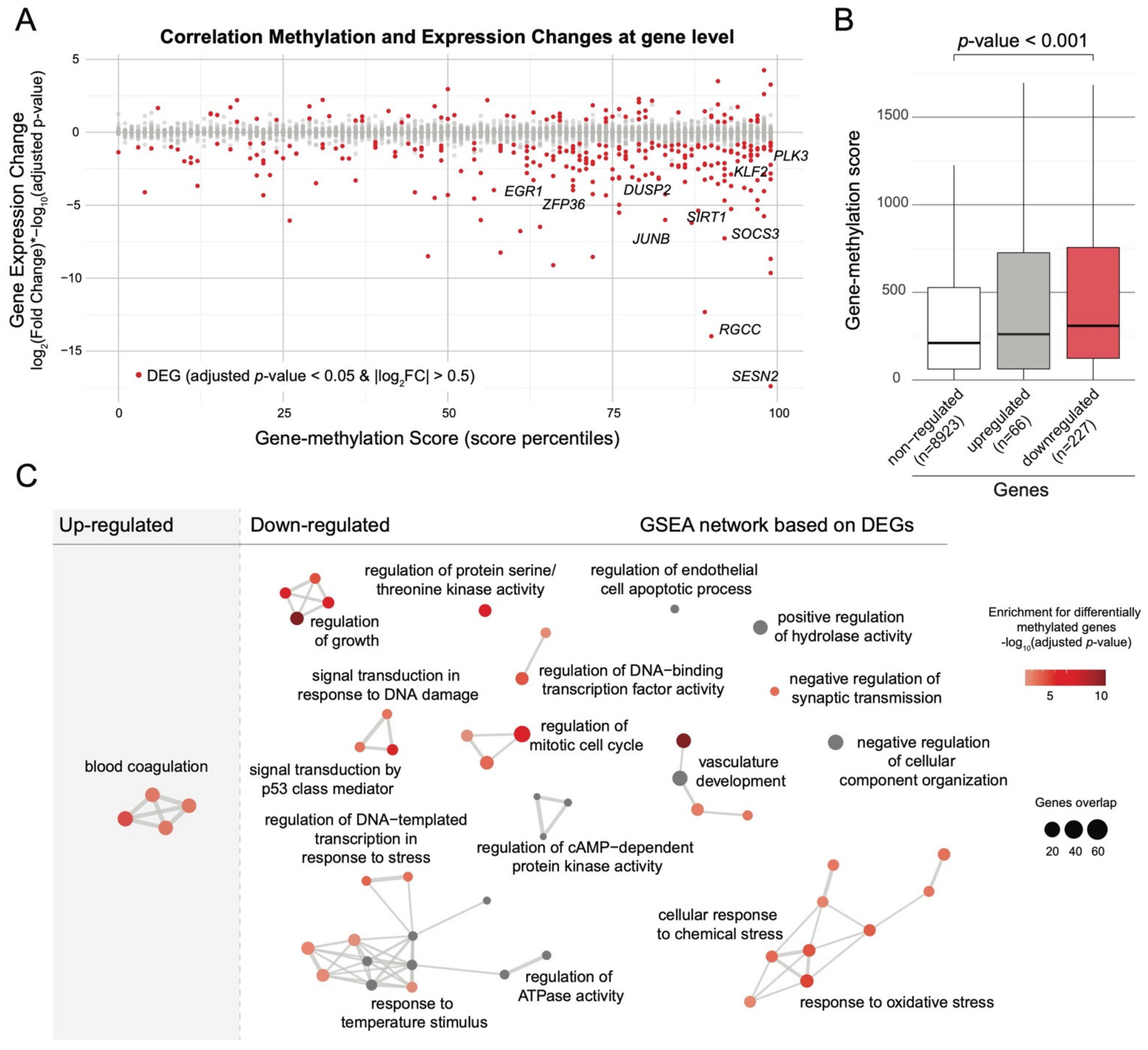 Ijms 23 07323 g003 550