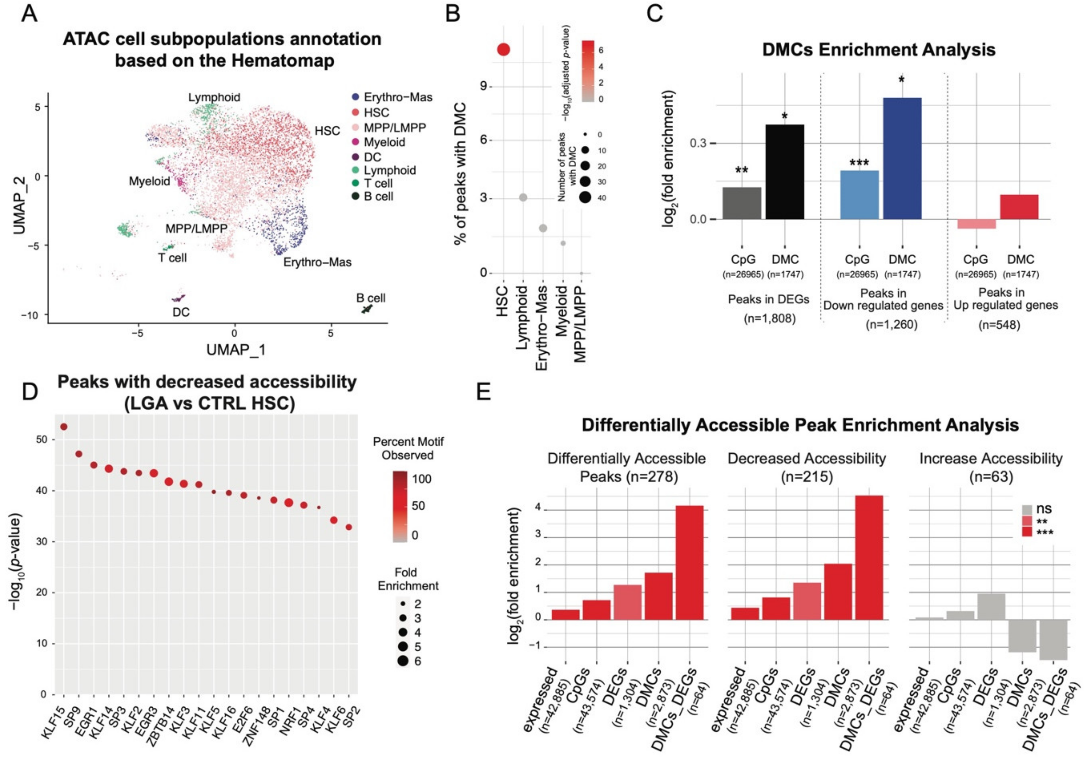Ijms 23 07323 g004 550