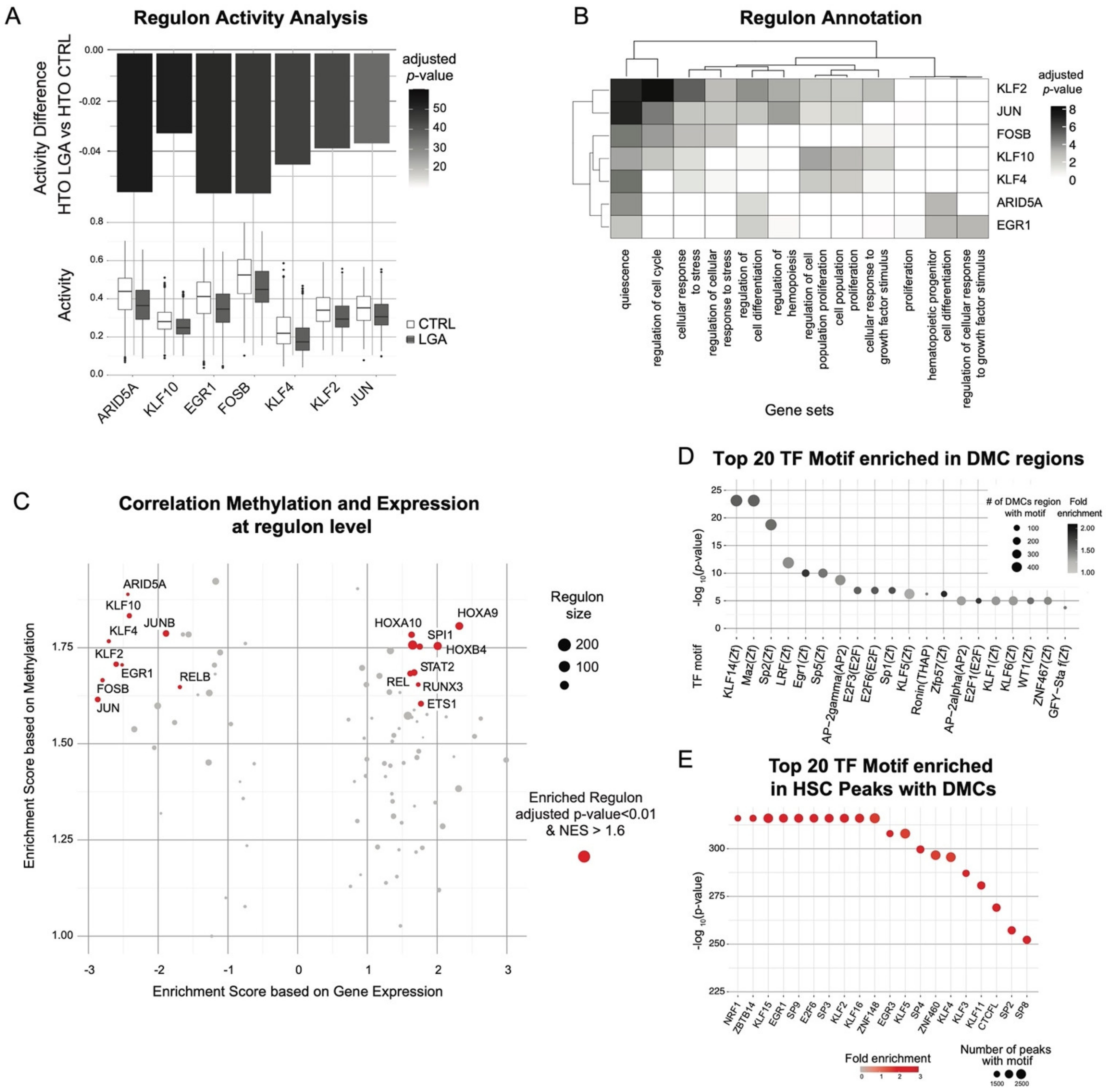 Ijms 23 07323 g005 550