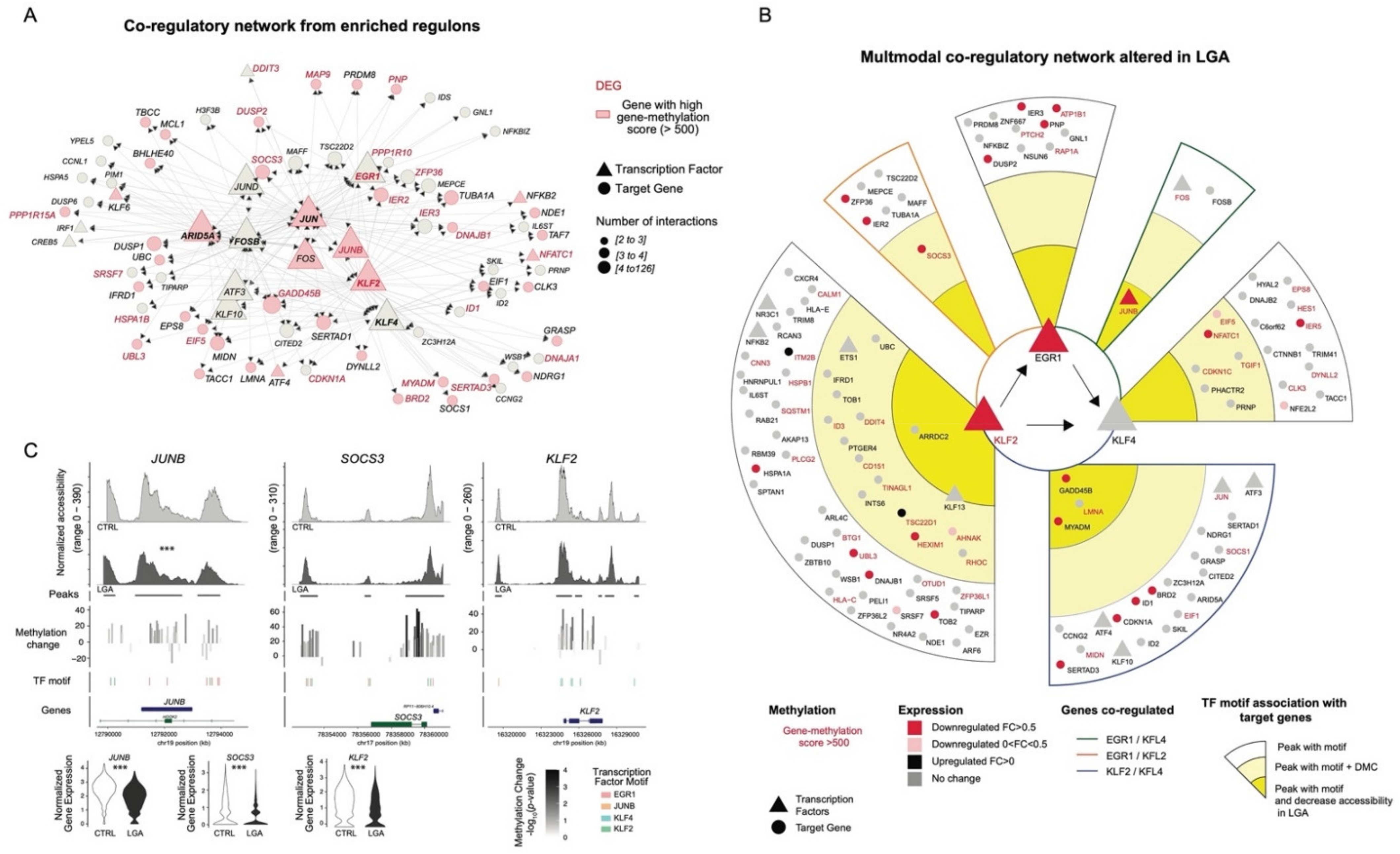 Ijms 23 07323 g006 550