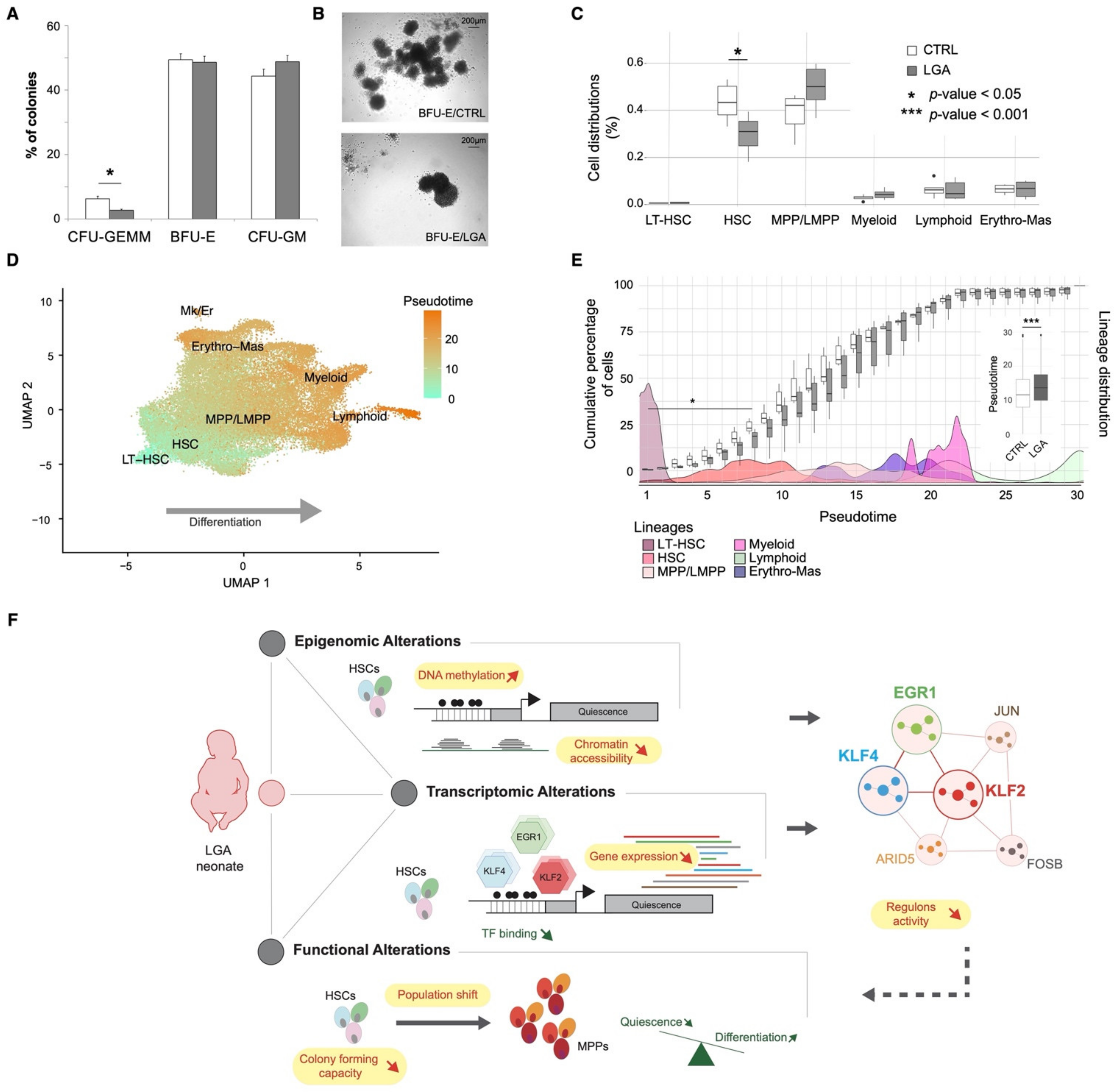 Ijms 23 07323 g007 550