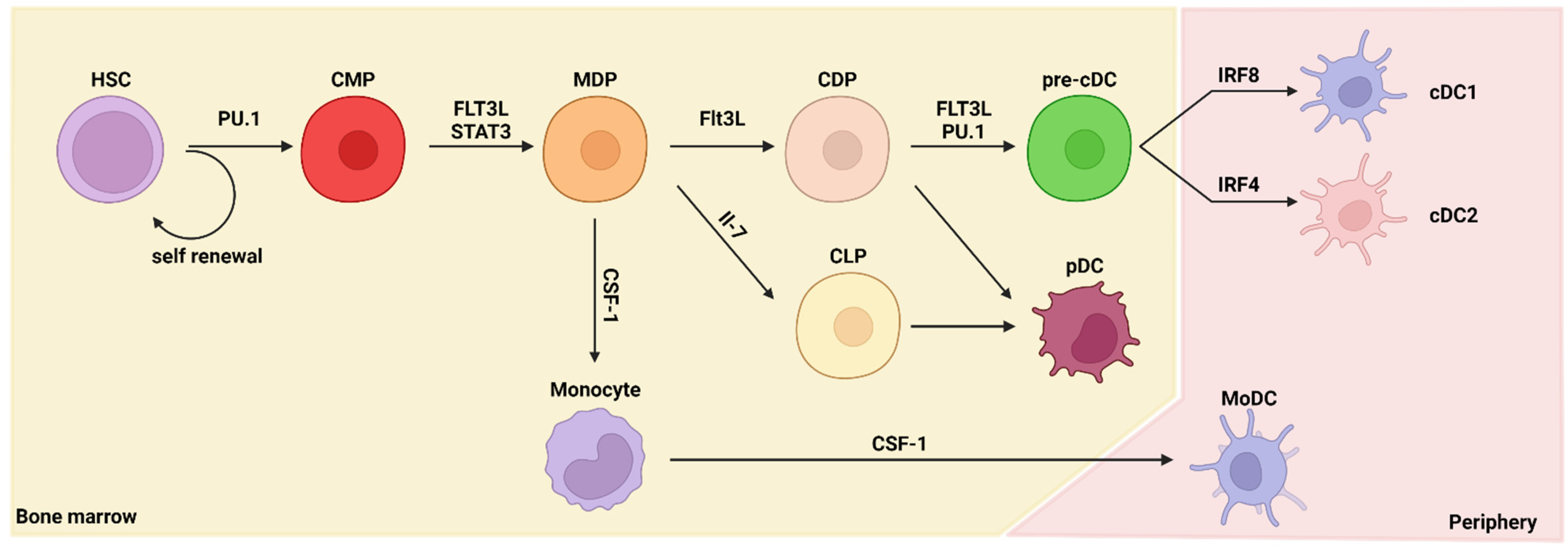 // Powered by Mass Cytometry - Dynamic CD8+ T cell responses to  cancer immunotherapy in human regional lymph nodes are disrupted in  metastatic lymph nodes