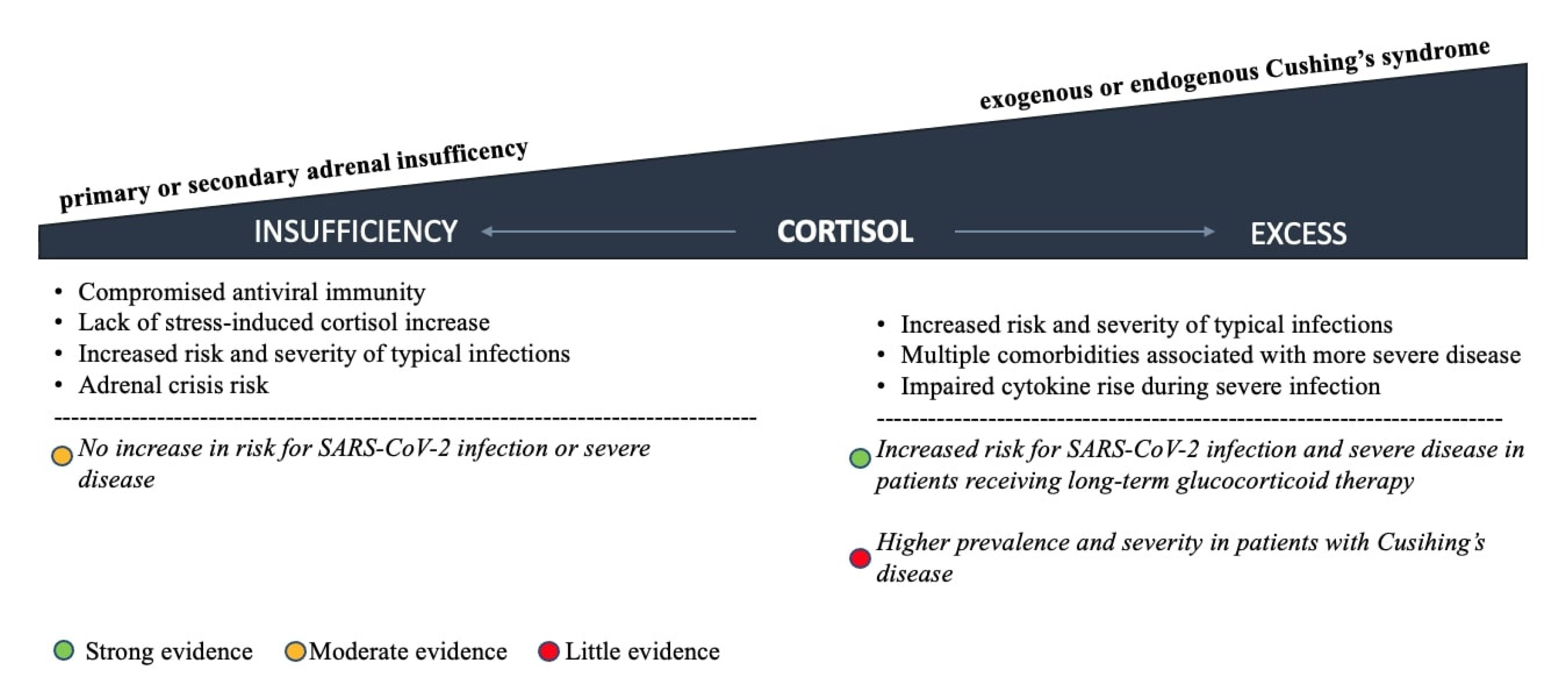 Ijms 23 07326 g003 550